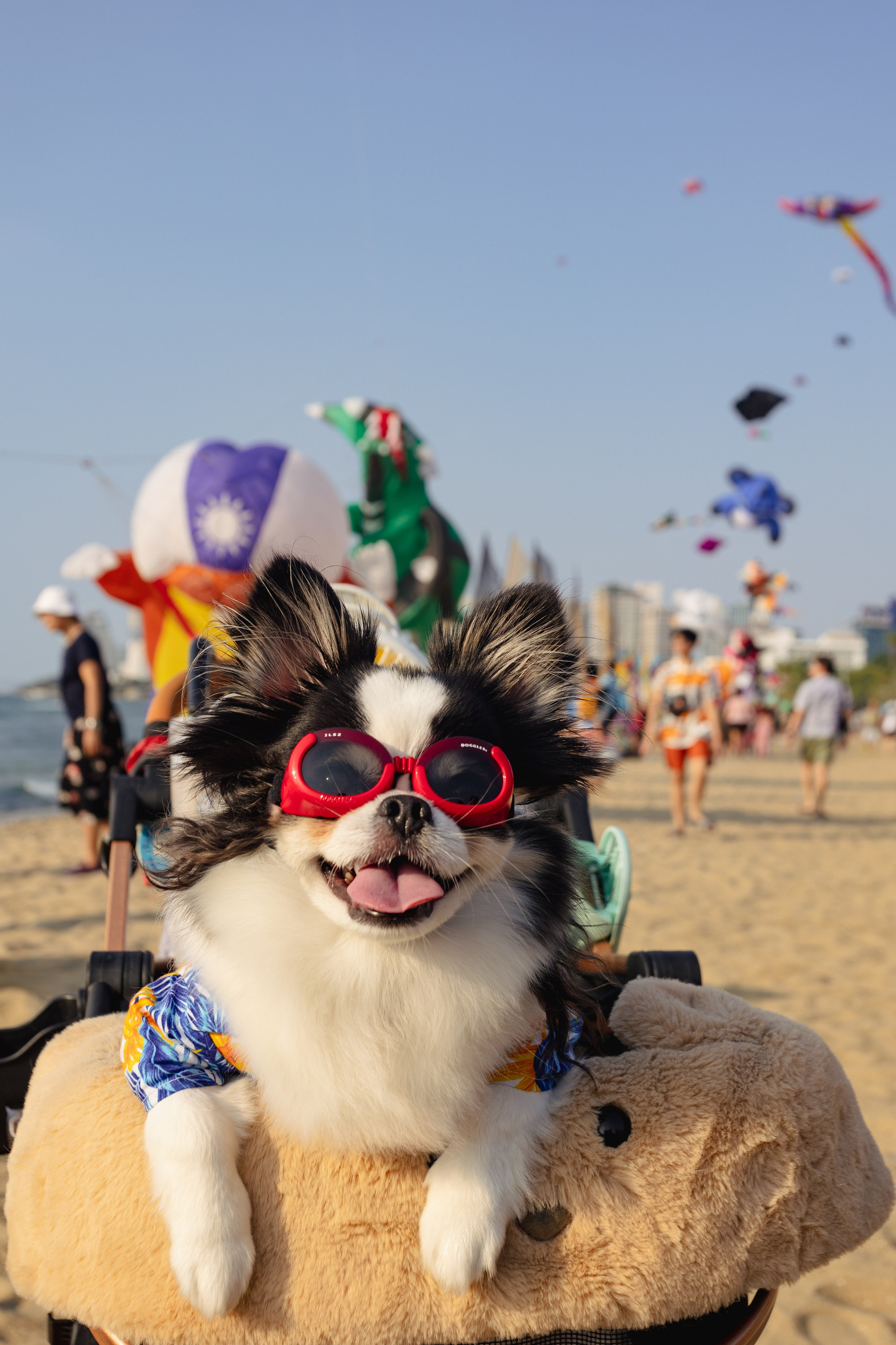 PATTAYA INTERNATIONAL KITE ON THE BEACH 2024. Photographer Sonkina Tatiana (Tanya Ash)