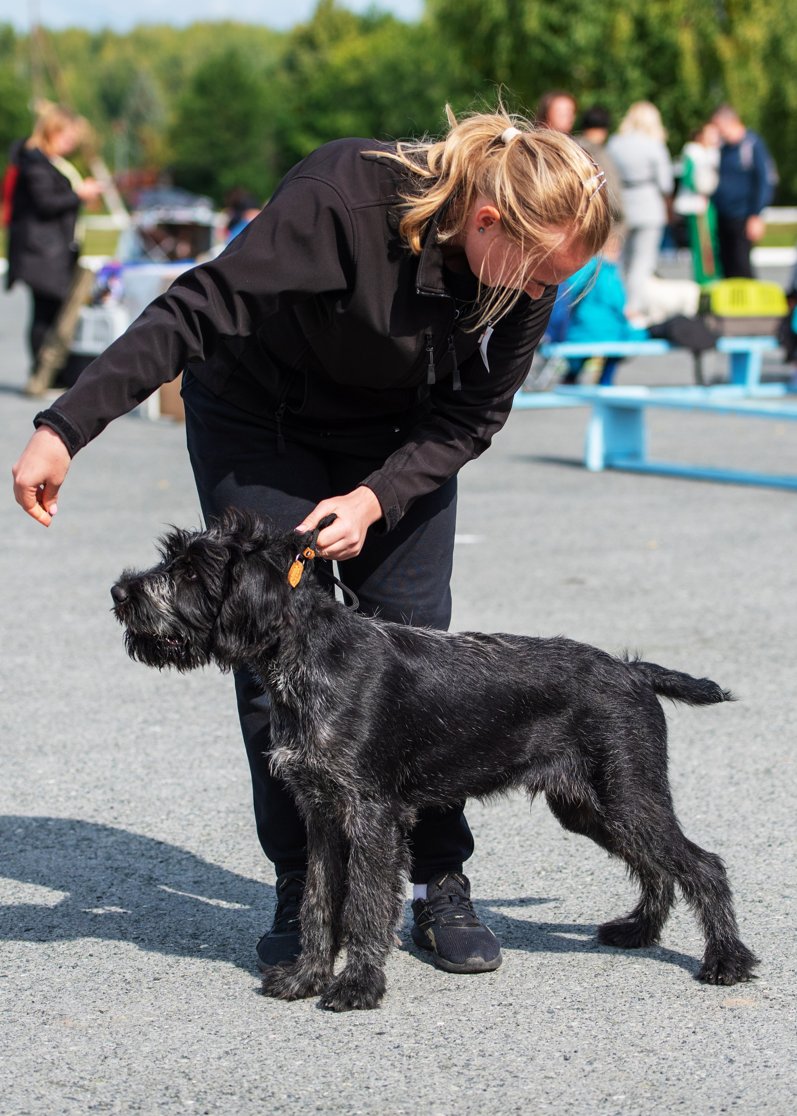 Выставки. Главная