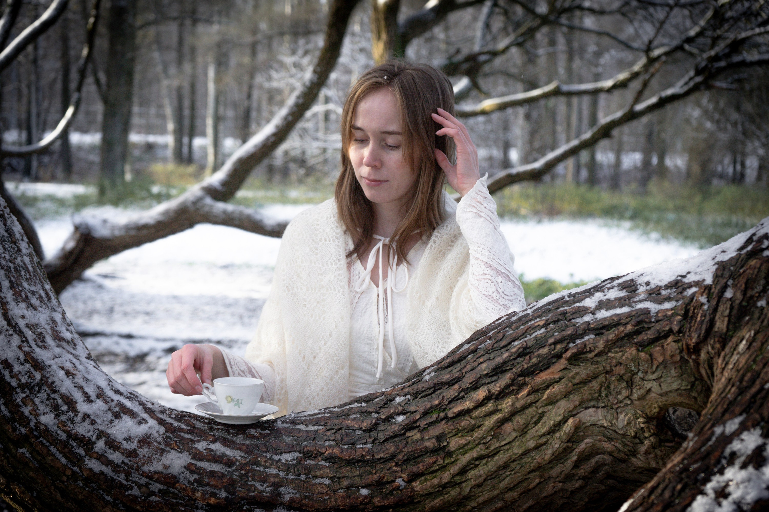 Зимний день