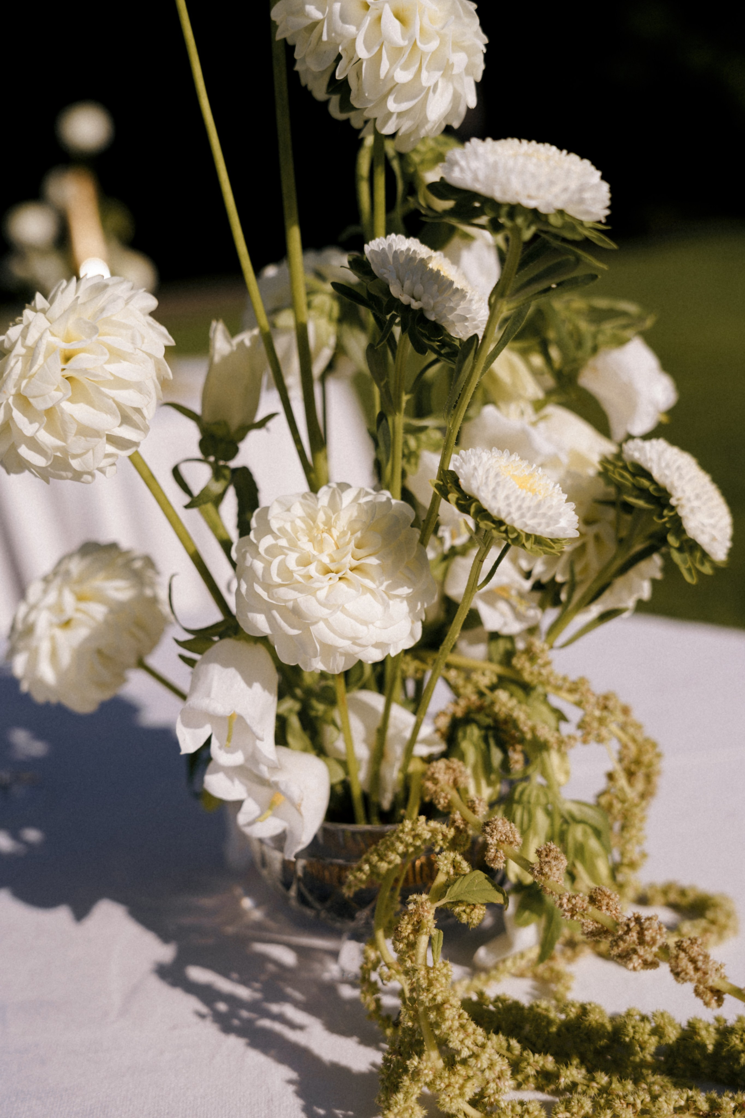 Целеево. Семейный и портретный фотограф в Саратове Сахарова Маша