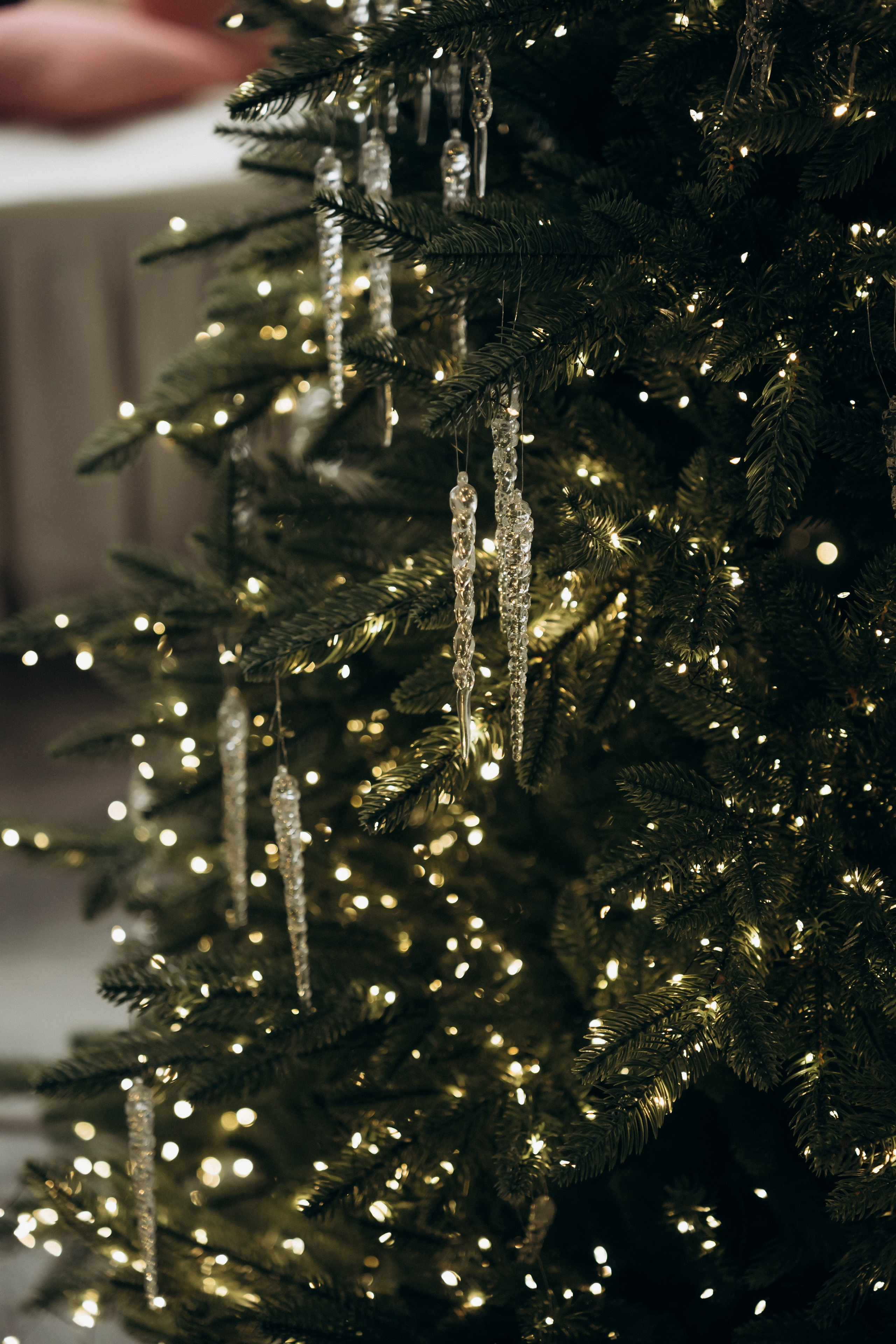 Новый год. Ирина Гонтарева|Фотограф|Белгород