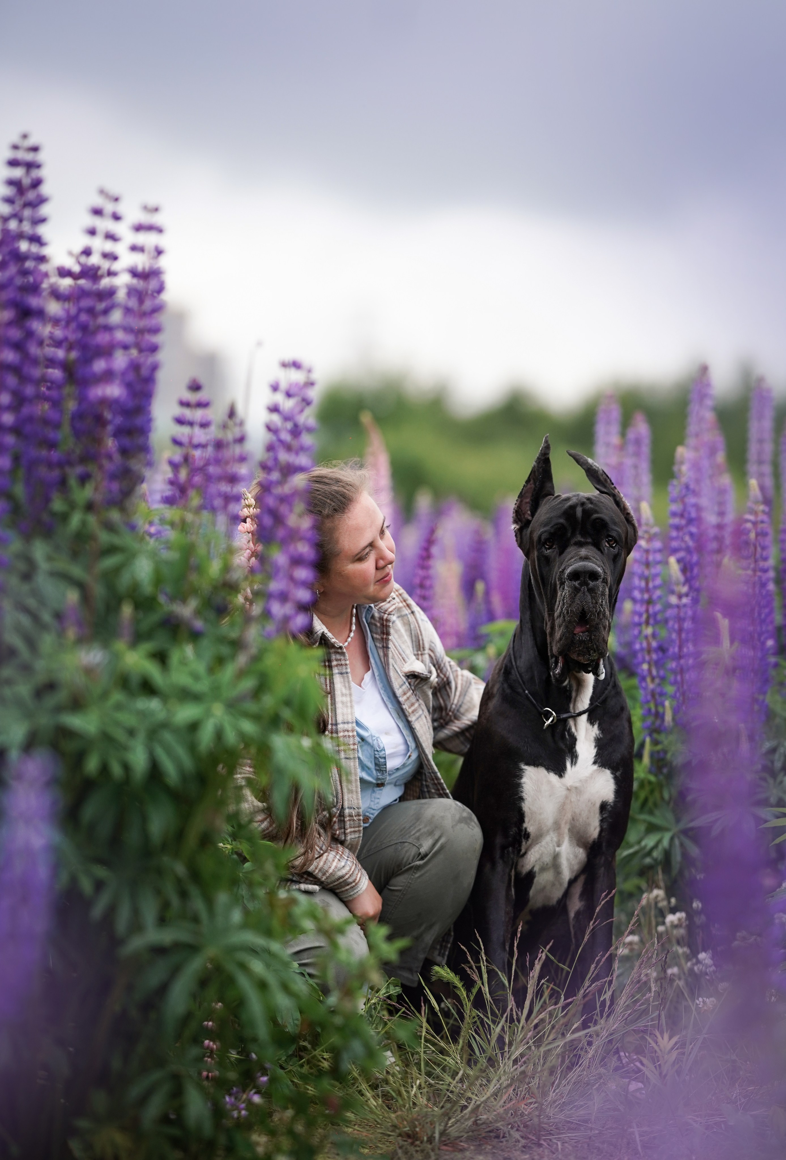 Вика и Трофей люпины. Фотограф-анималист в Санкт-Петербурге Яна Мартынова