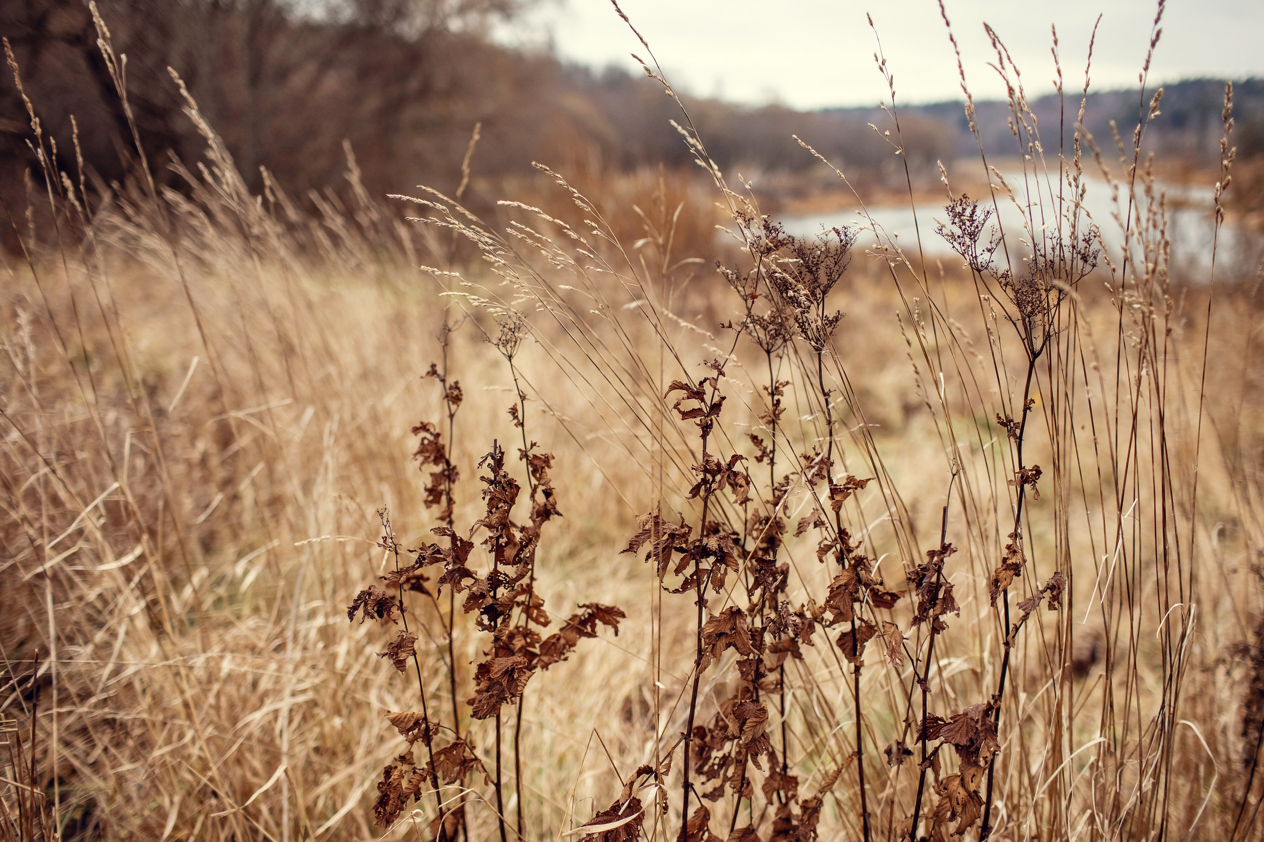 Лёша, Вика и Василиса. Детский и семейный фотограф в Москве Анна Ипатьева