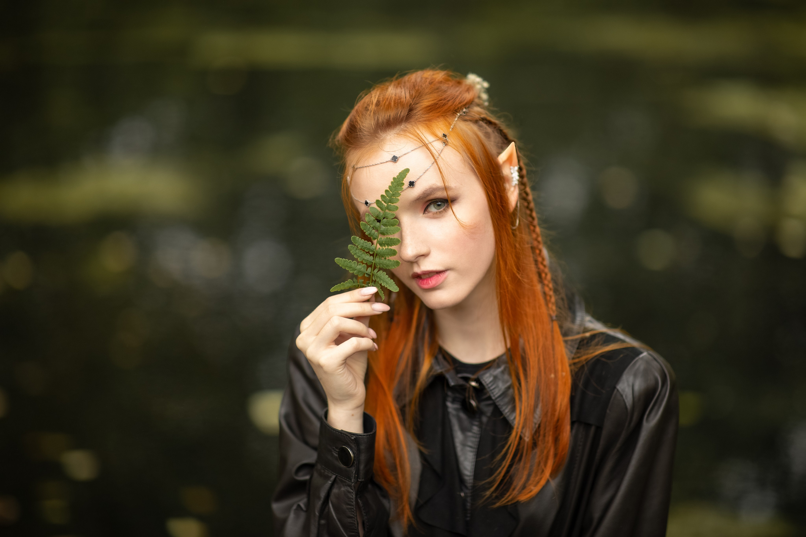 Волшебный лес