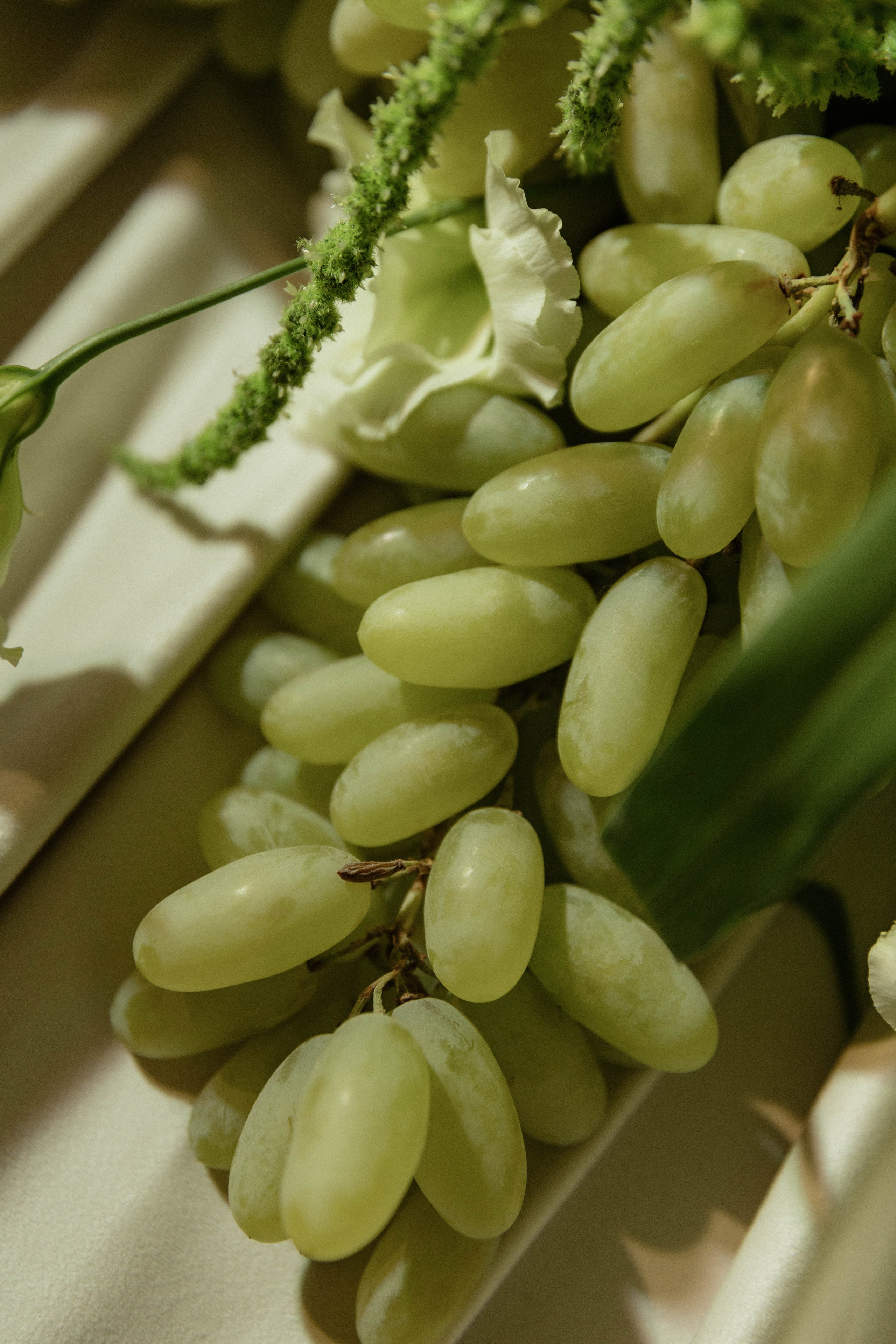 Илья и Анна. Фотограф Юсова Мария