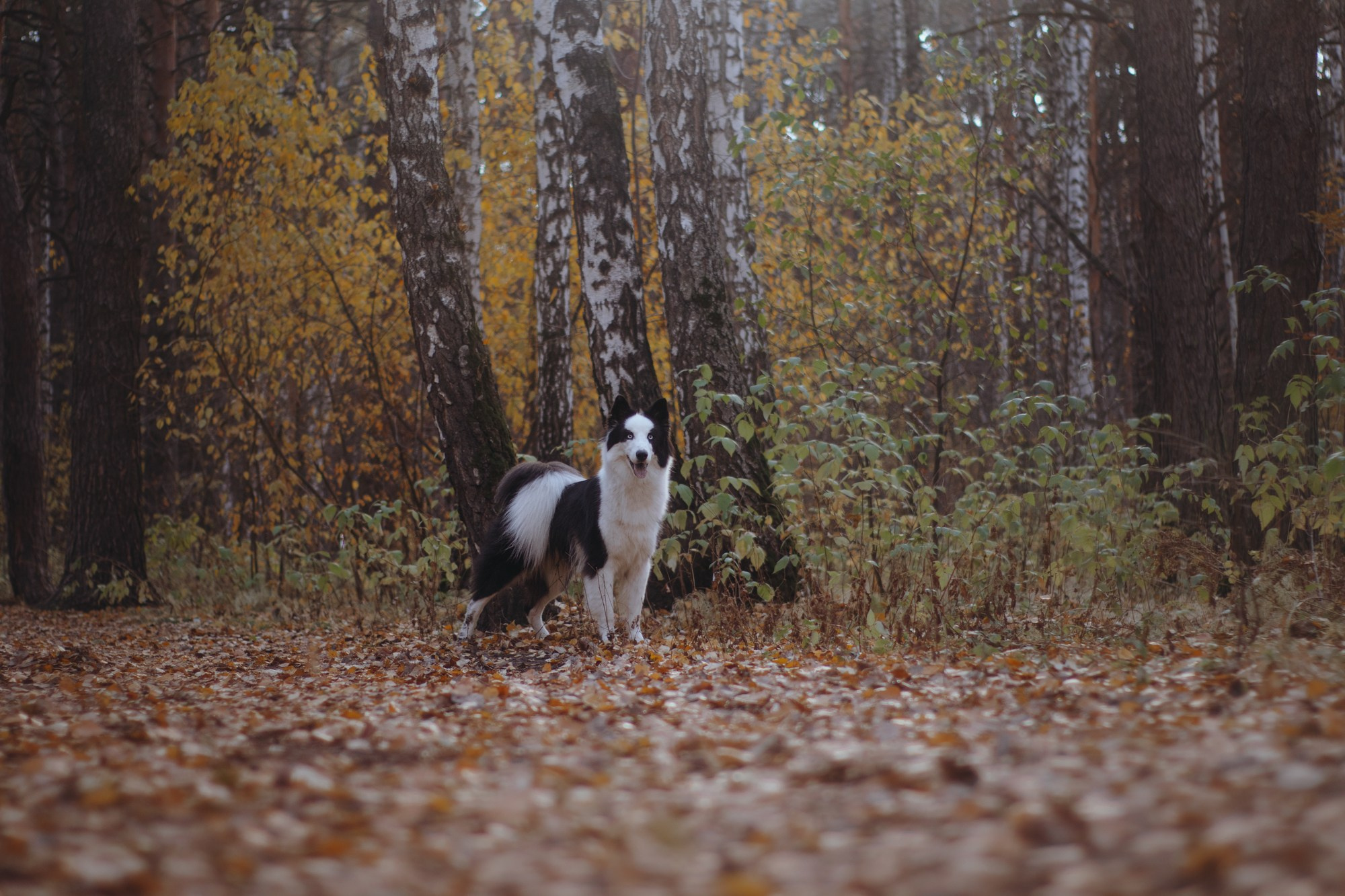 Ликёр. Фотограф в Тюмени Лизавета Сапицкая