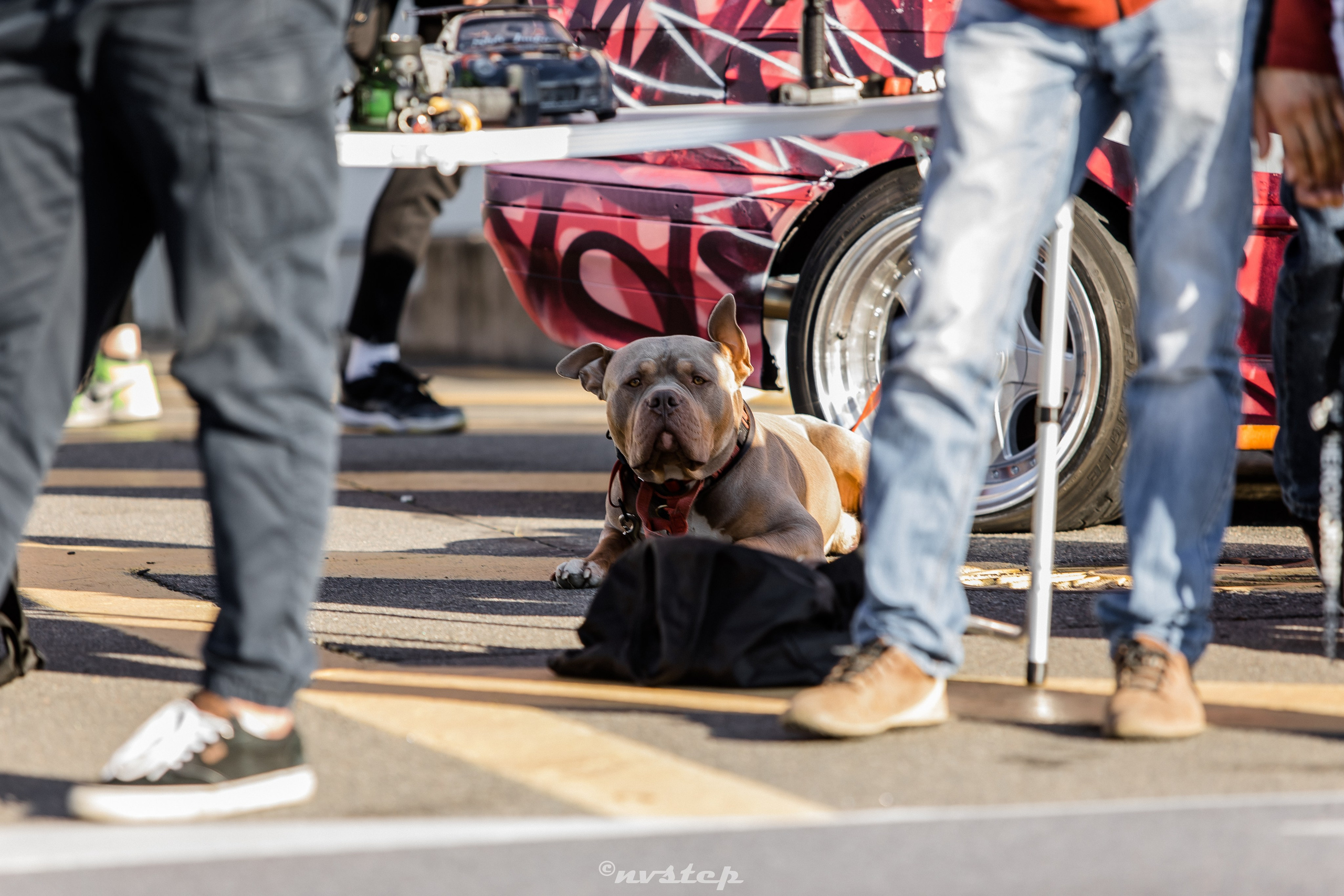 Drift Expo TM 8\23. Мультижанровый фотограф в Москве Наталия Степанова