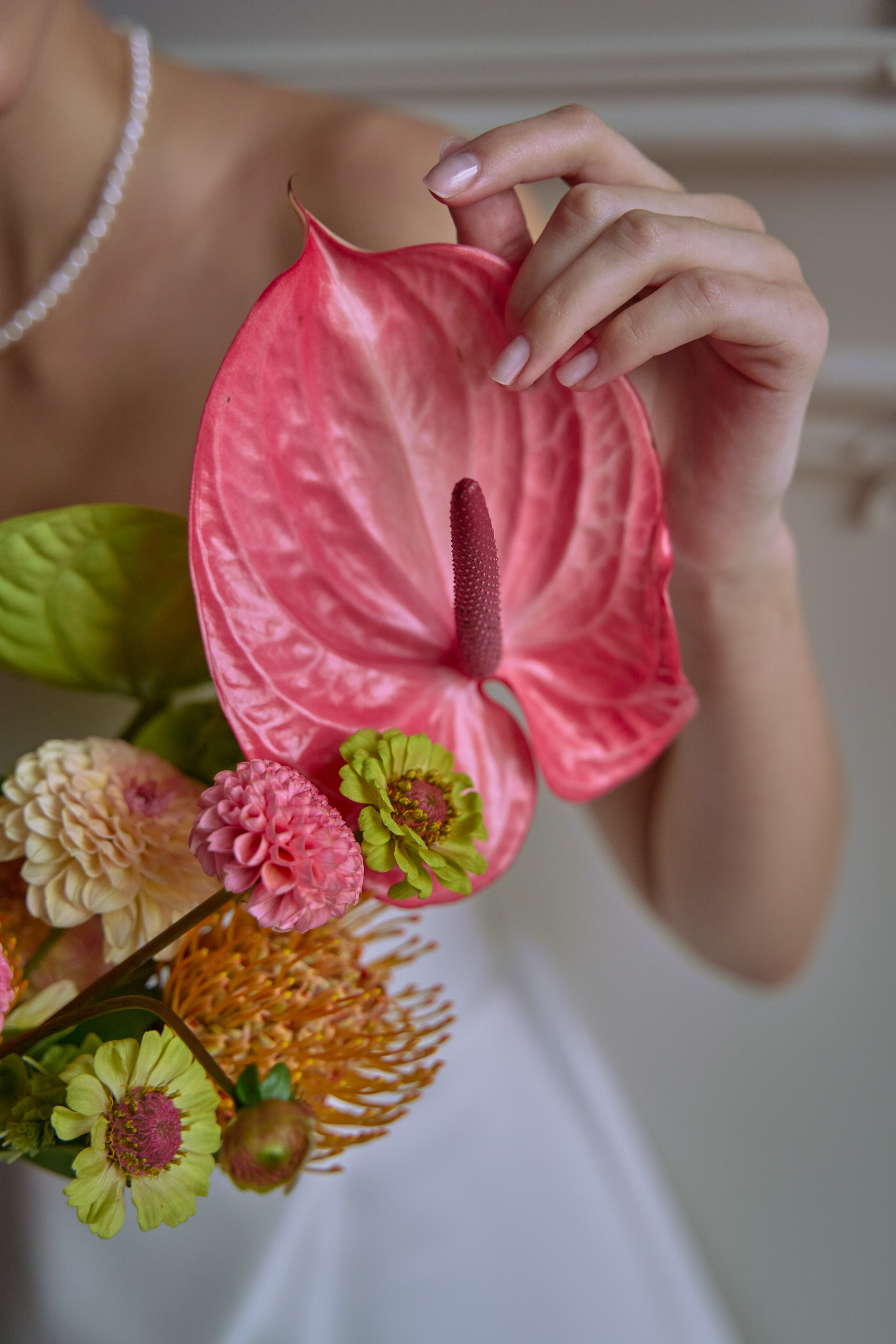 Михаил и Софья. Главная