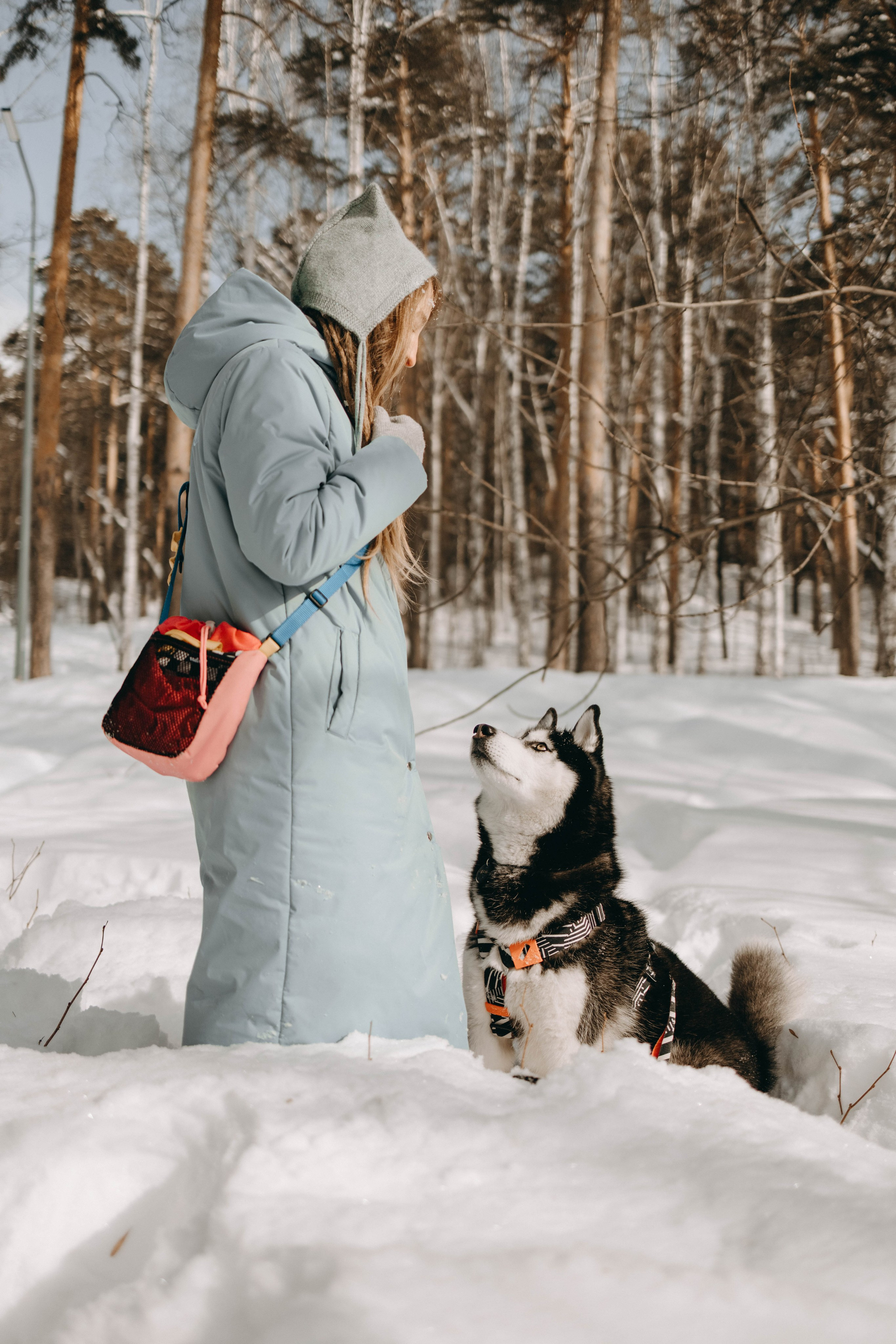 Анна и Вегас. Фотограф-анималист в Екатеринбурге | Кристина