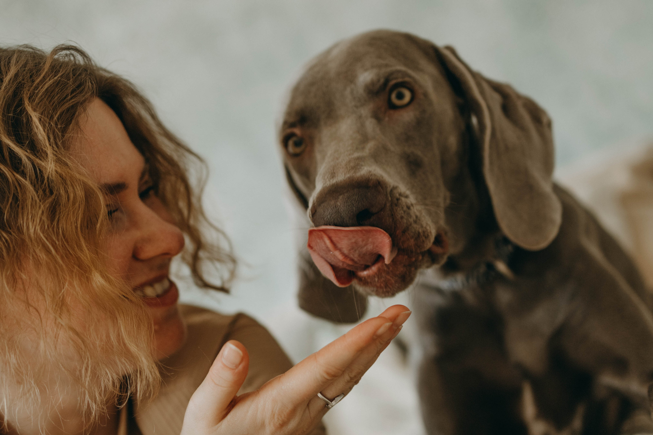 Фотосессия в студии с собакой. Фотограф-анималист в Екатеринбурге | Кристина