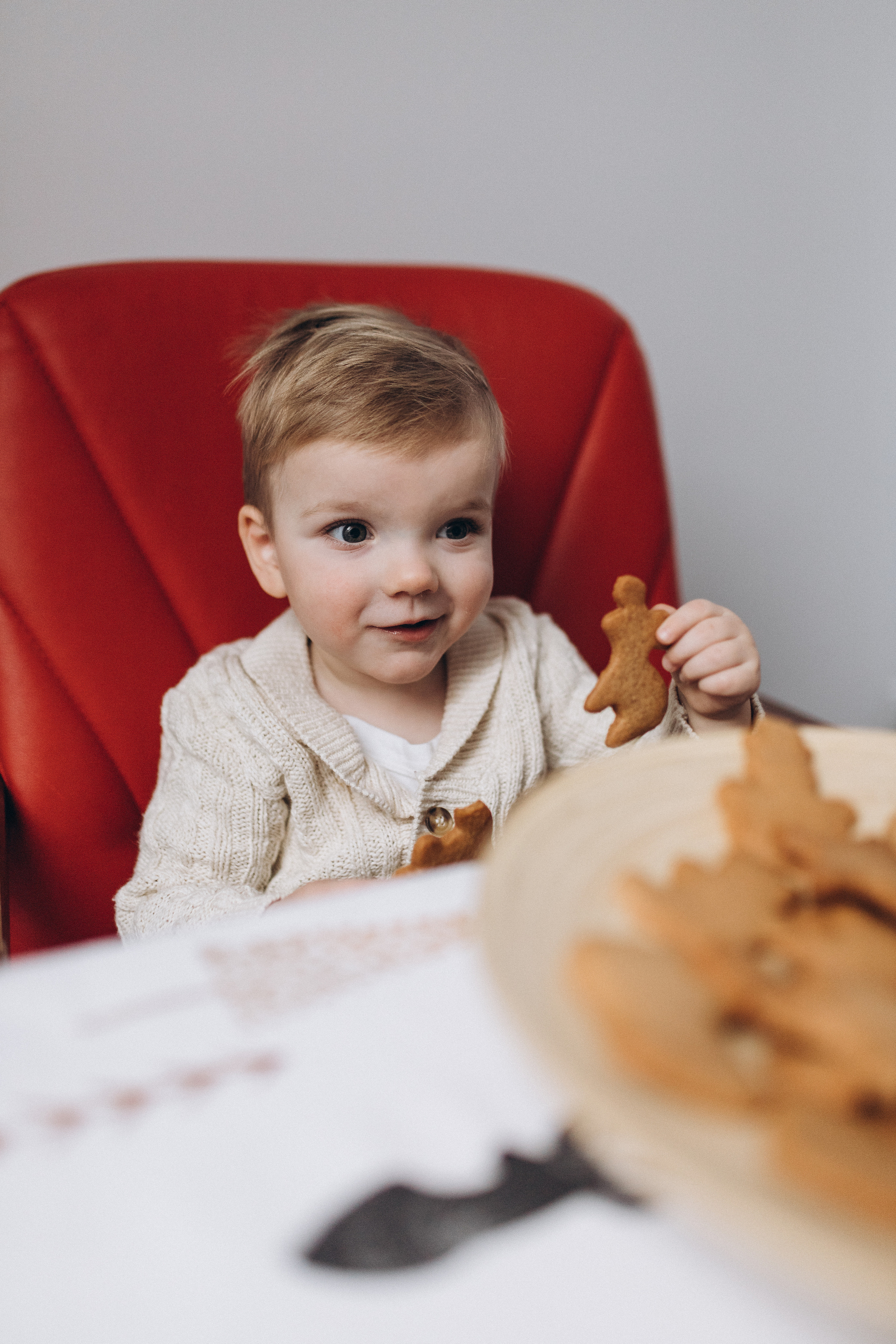 Новогодняя домашняя съемка. Алёна Берёзка фотограф Минск