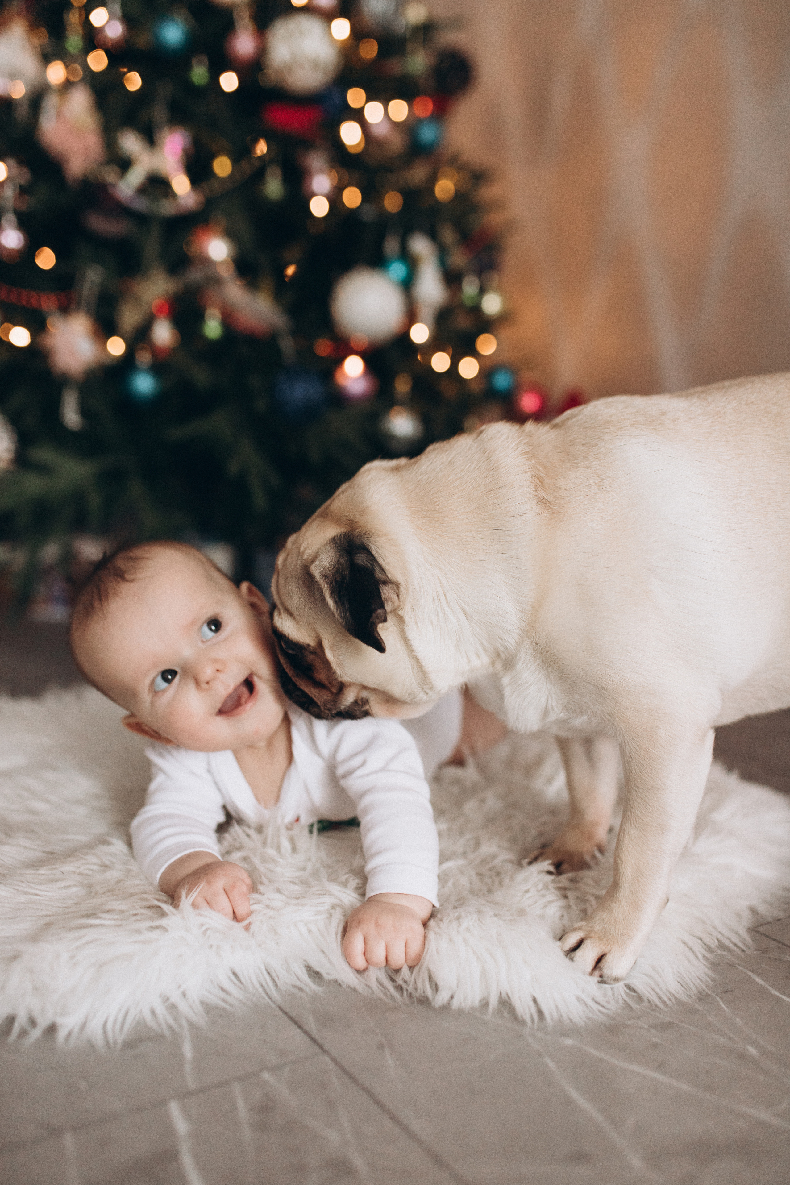 Новогодняя домашняя съемка. Алёна Берёзка фотограф Минск