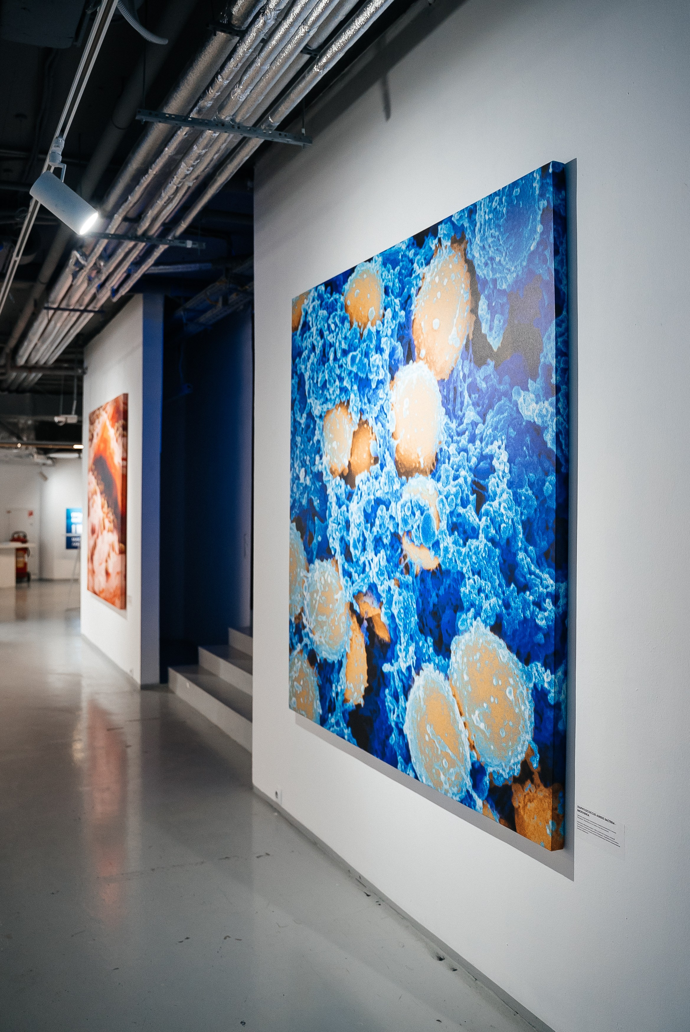 La Roche Posay. Павел Краснов — Свадебный и репортажный фотограф в Москве