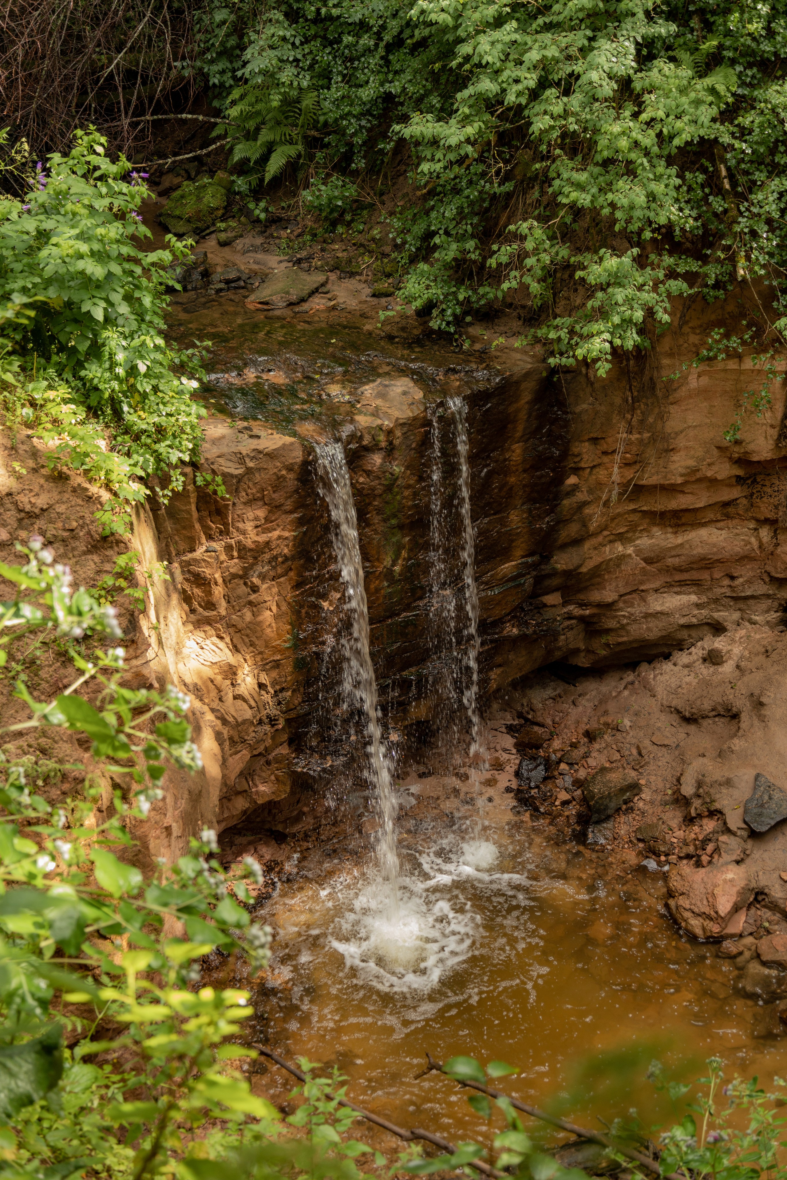 Природа, пейзажи. Гергерт Ксения фотограф в Санкт-Петербурге