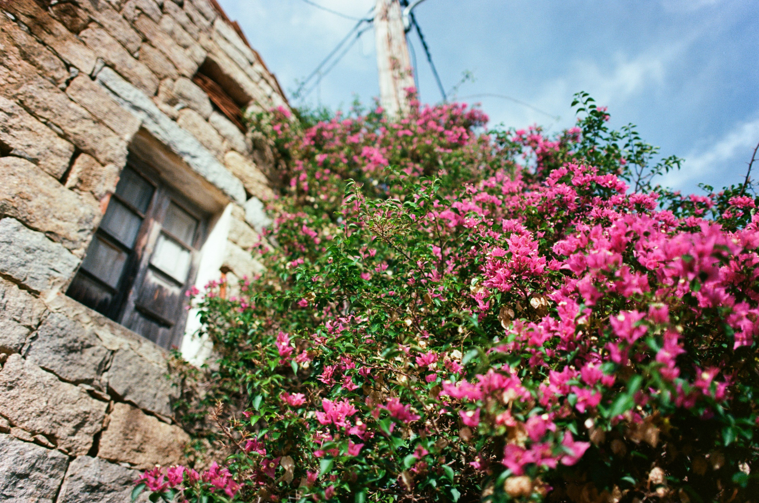 Silence is also an answer // corsica. EVER EXPOSED