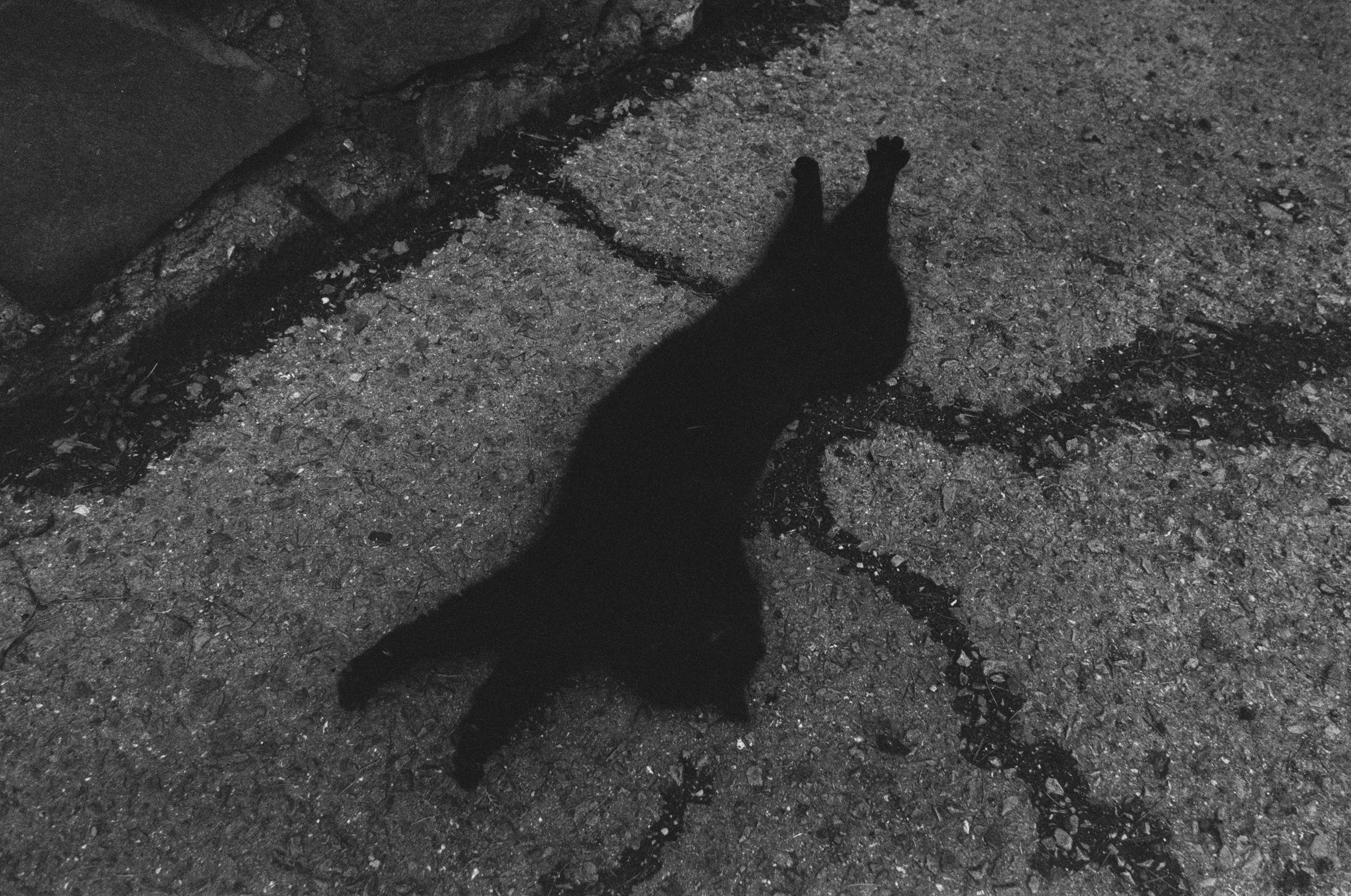 Oblomki chuvstv // ukraine, crimea. EVER EXPOSED