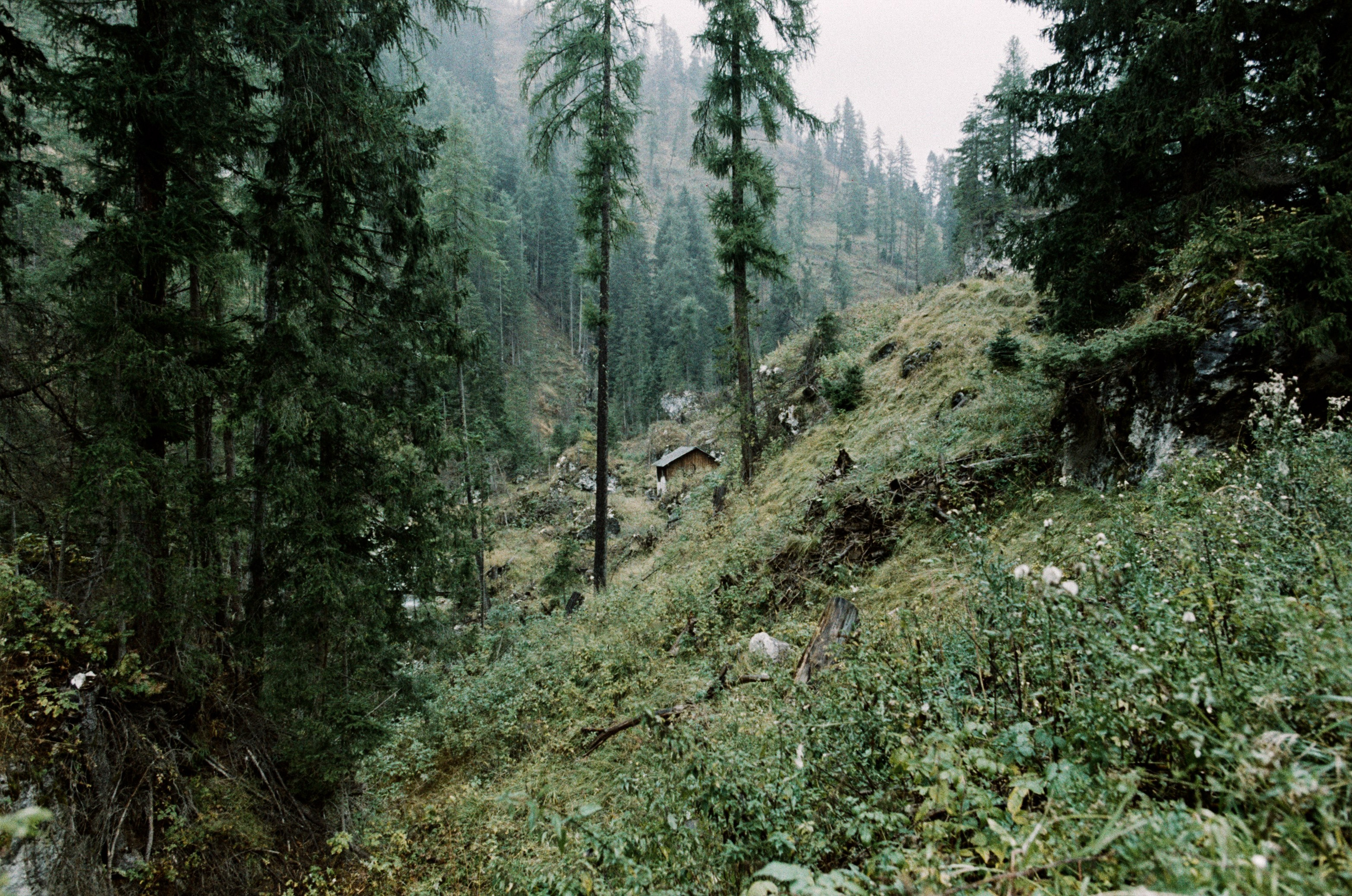 Il dono della vita // italy, dolomites IV. EVER EXPOSED