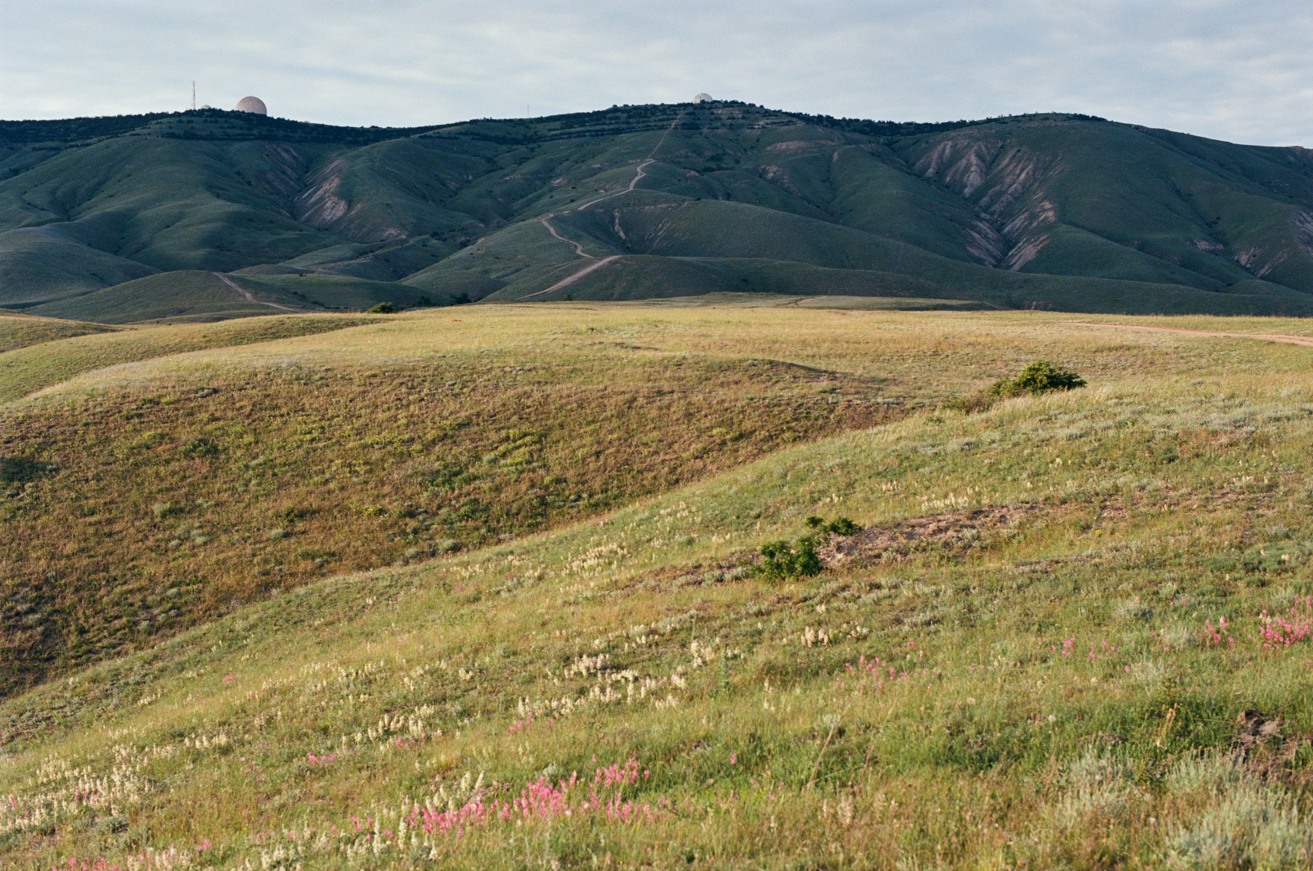 The drugs don't work // ukraine, crimea III. EVER EXPOSED