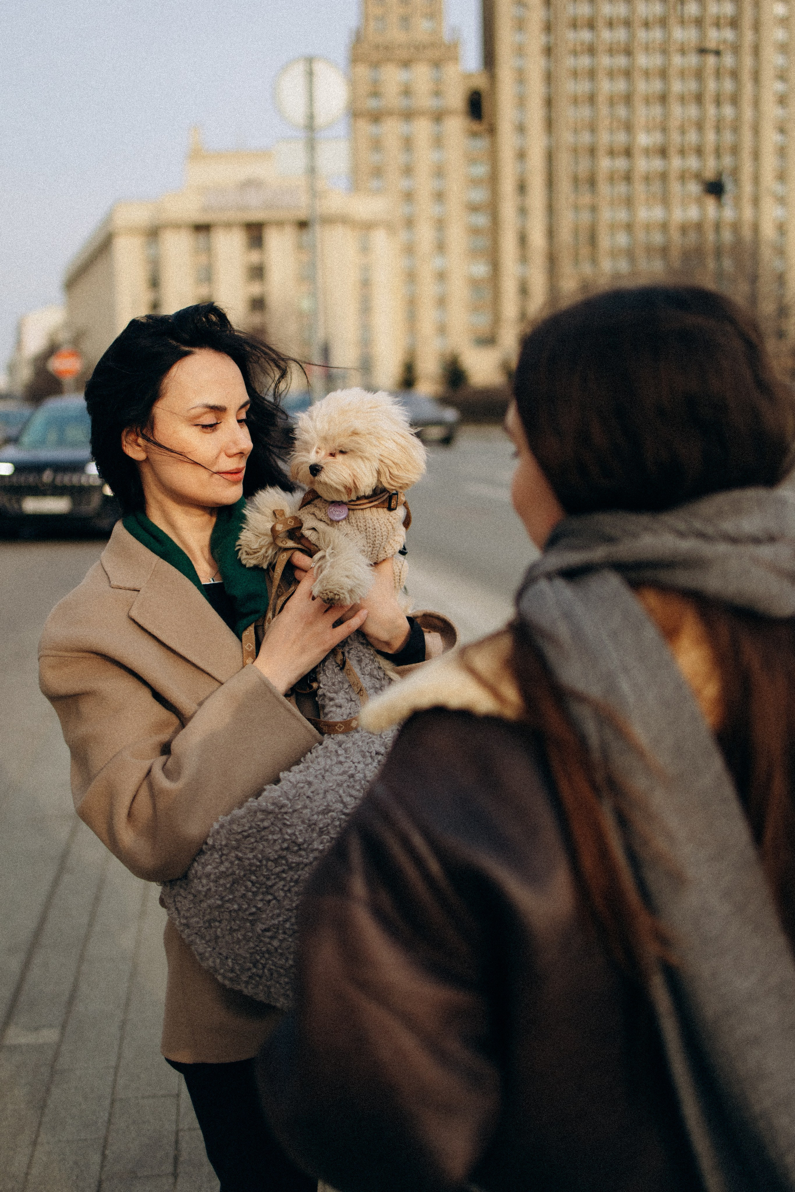Маша, Лиза и Луна. Фотораф — анималист Мария Шистка