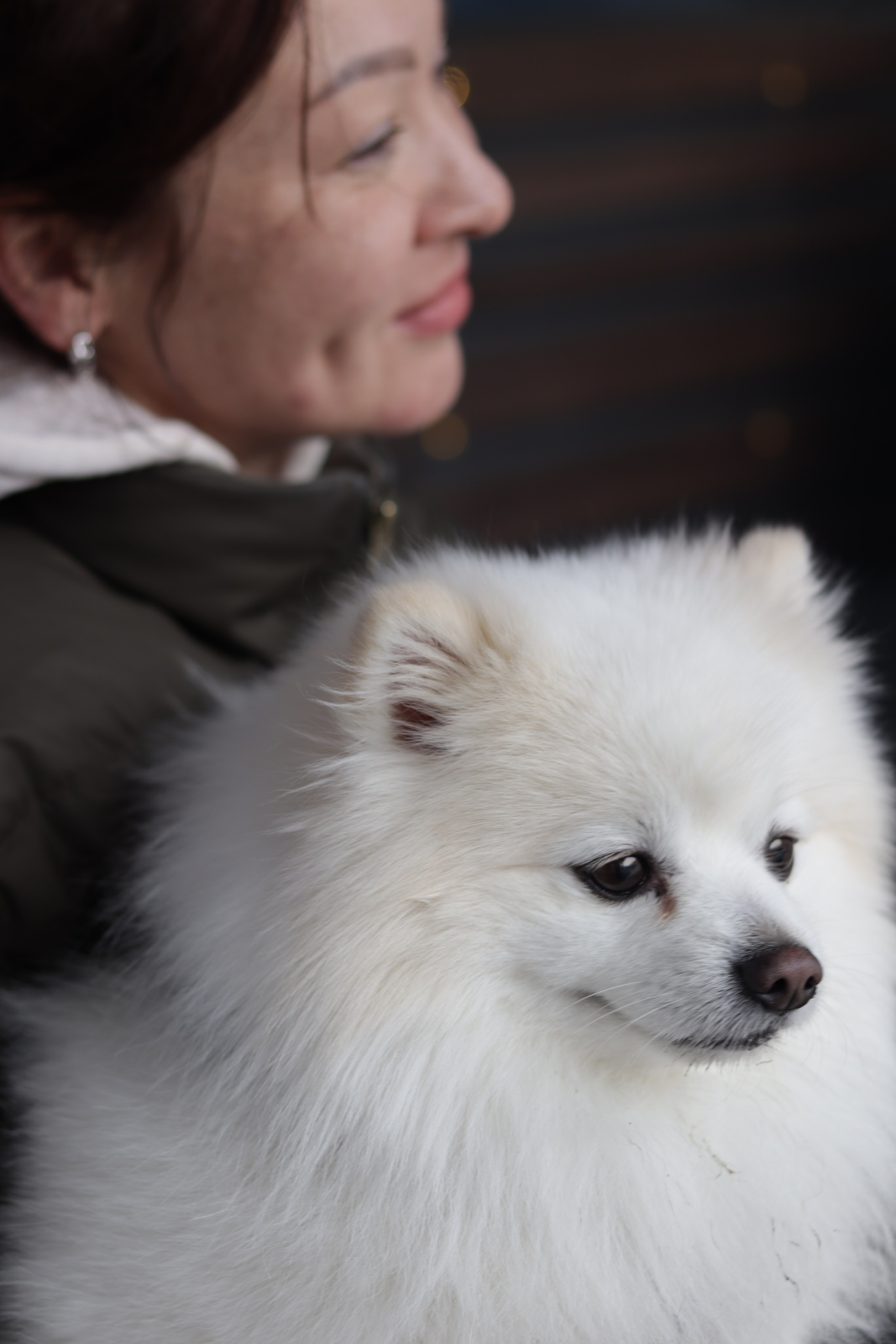 Кофейня S.O.V.A. Boringowl | Коммерческий фотограф в Иркутске Раиса Ботороева