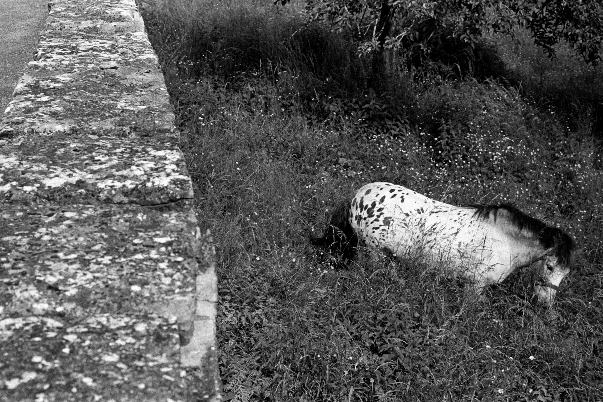 Memories of France. Документальный фотограф Алексей Мякишев, Москва