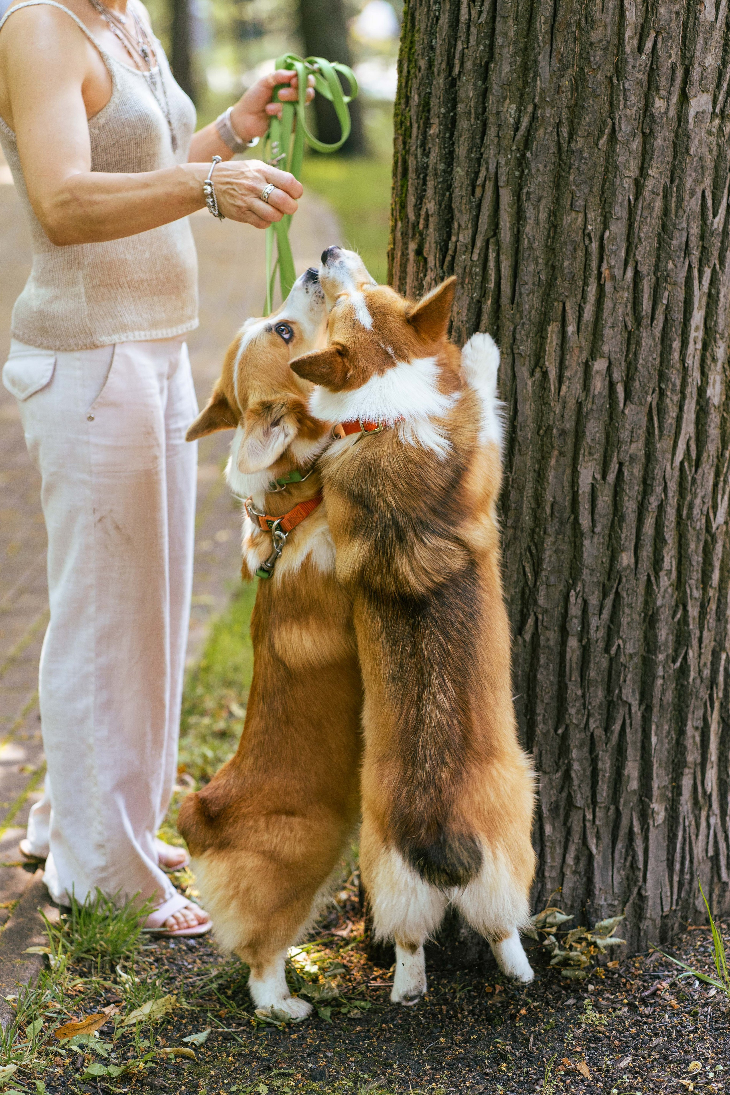 Ольга и коржики. Свадебный фотограф в Москве Анна Полушина