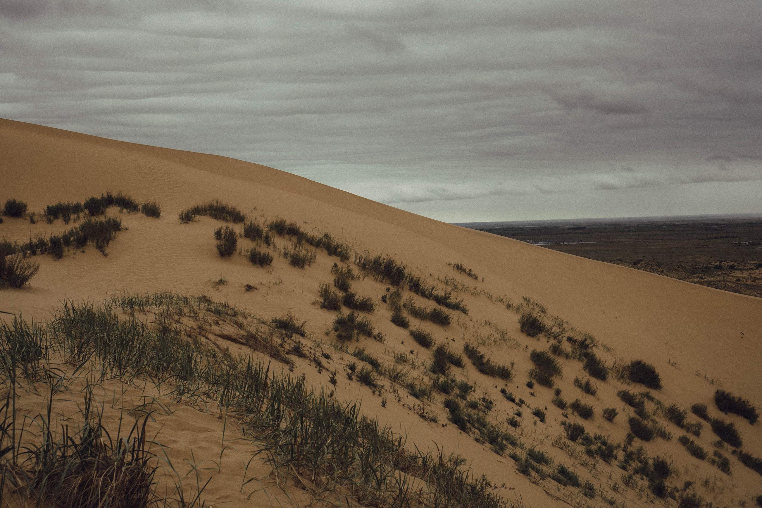 Кавказ. Профессиональный фотограф, Санкт-Петербург — Виктория Богомолова
