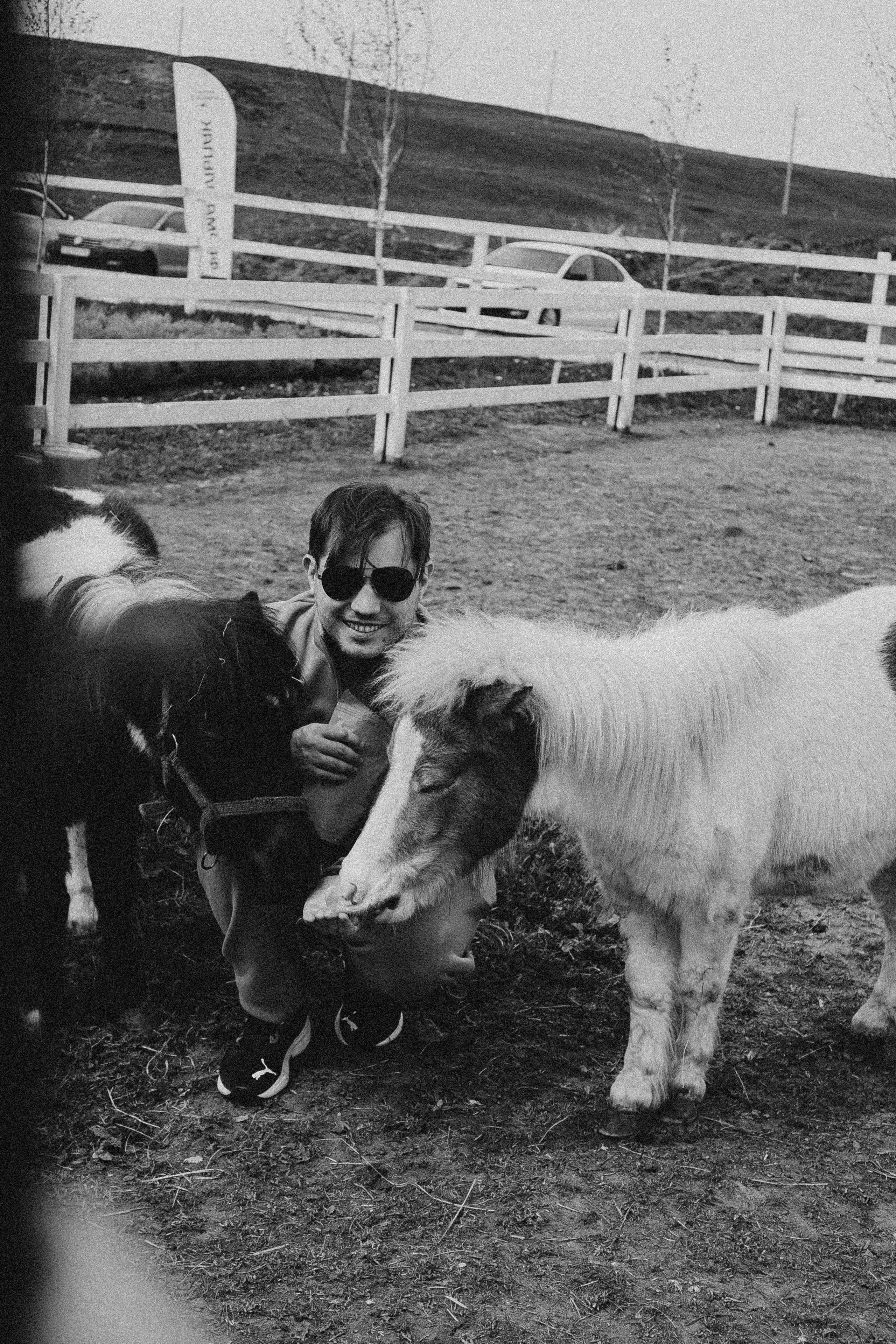 Ферма Альпак. Профессиональный фотограф, Санкт-Петербург — Виктория Богомолова