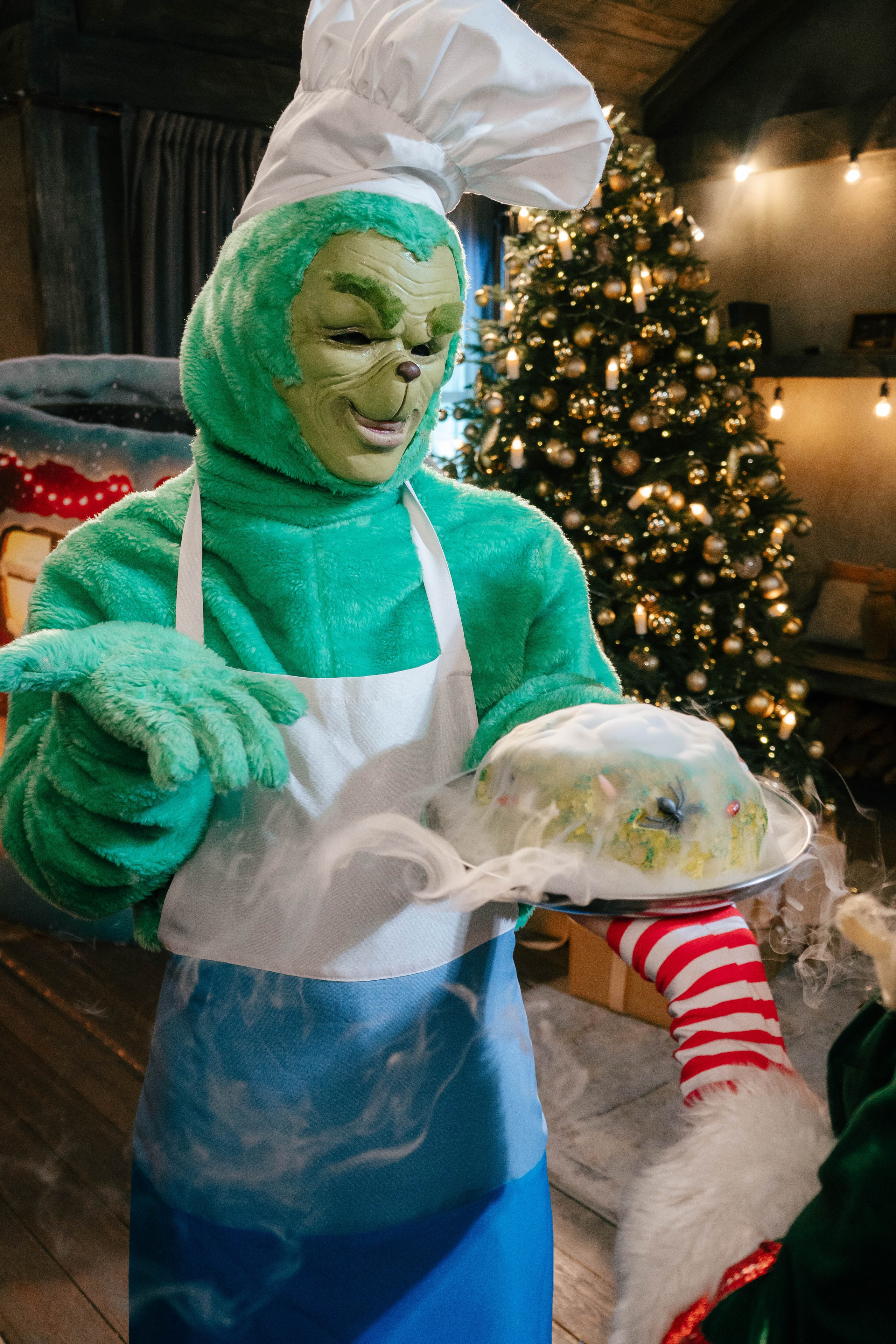 Гринч Circus Zone. Фотограф / видеограф в Москве и Сочи Sofia Riversong