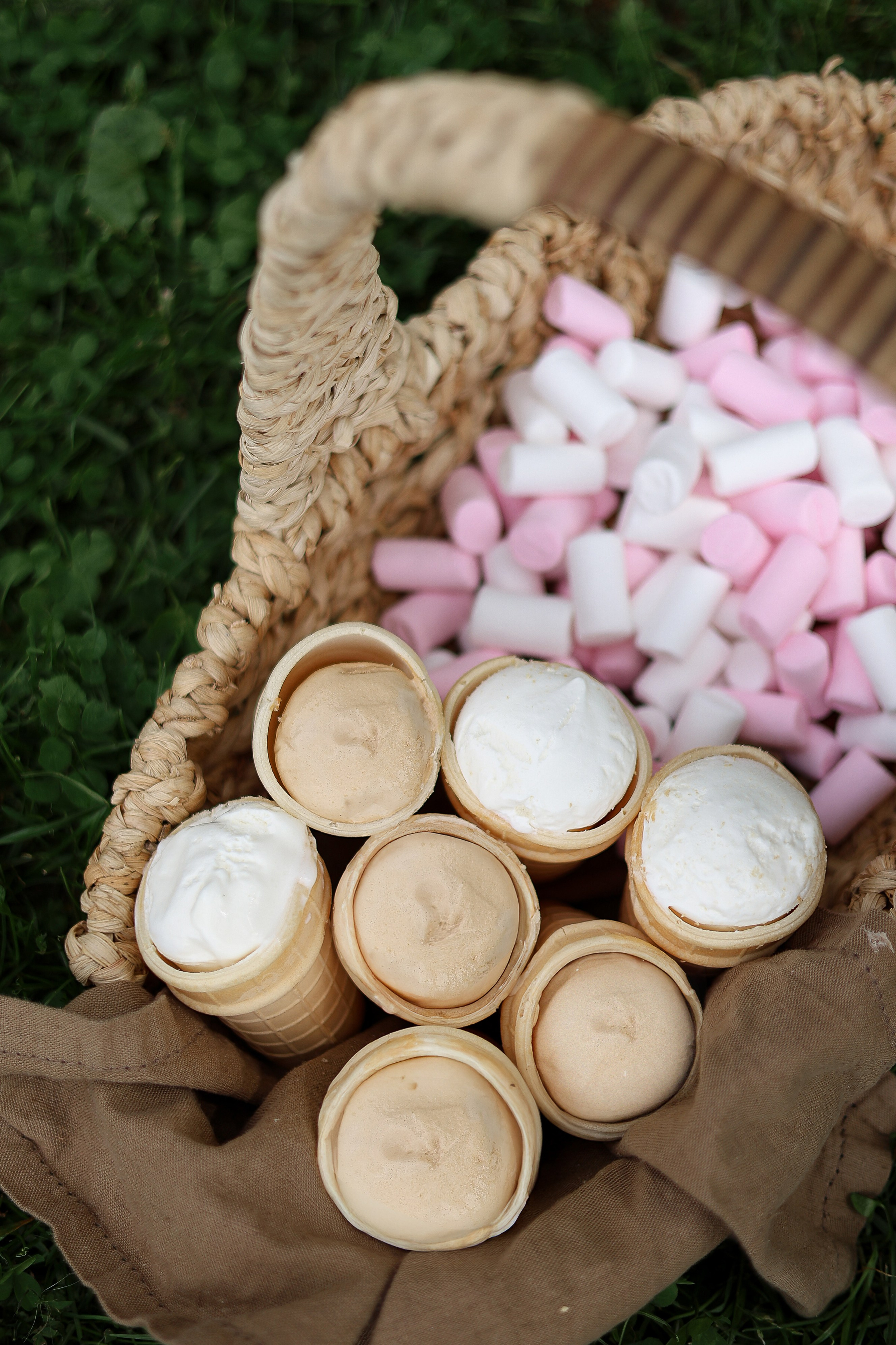 Фотопикник, вкусный репортаж с места событий. Семейный фотограф в Москве Марина Петра