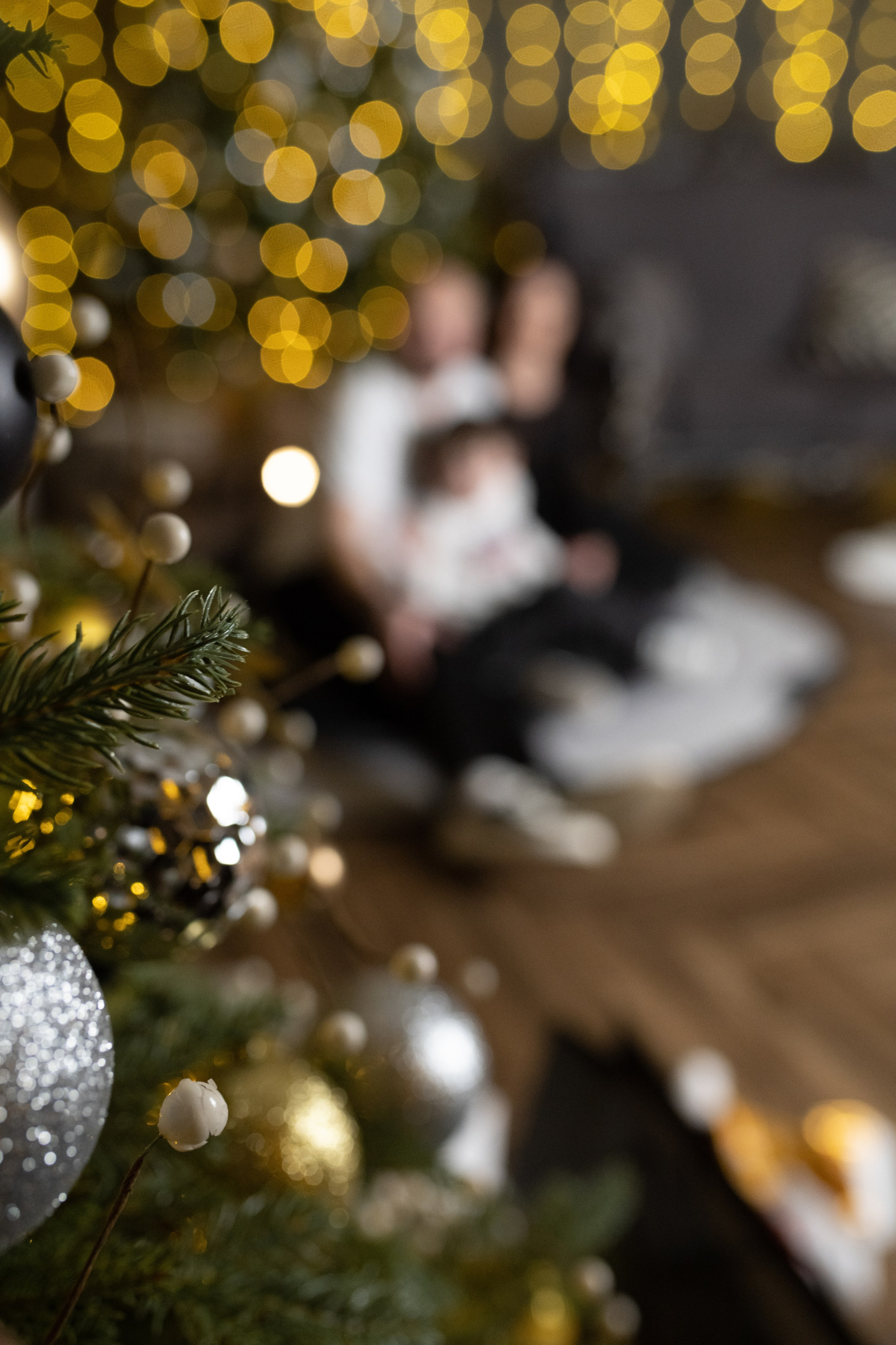 Новогоднее: Алексей, Алена и Степан. Фотограф г. Хабаровск