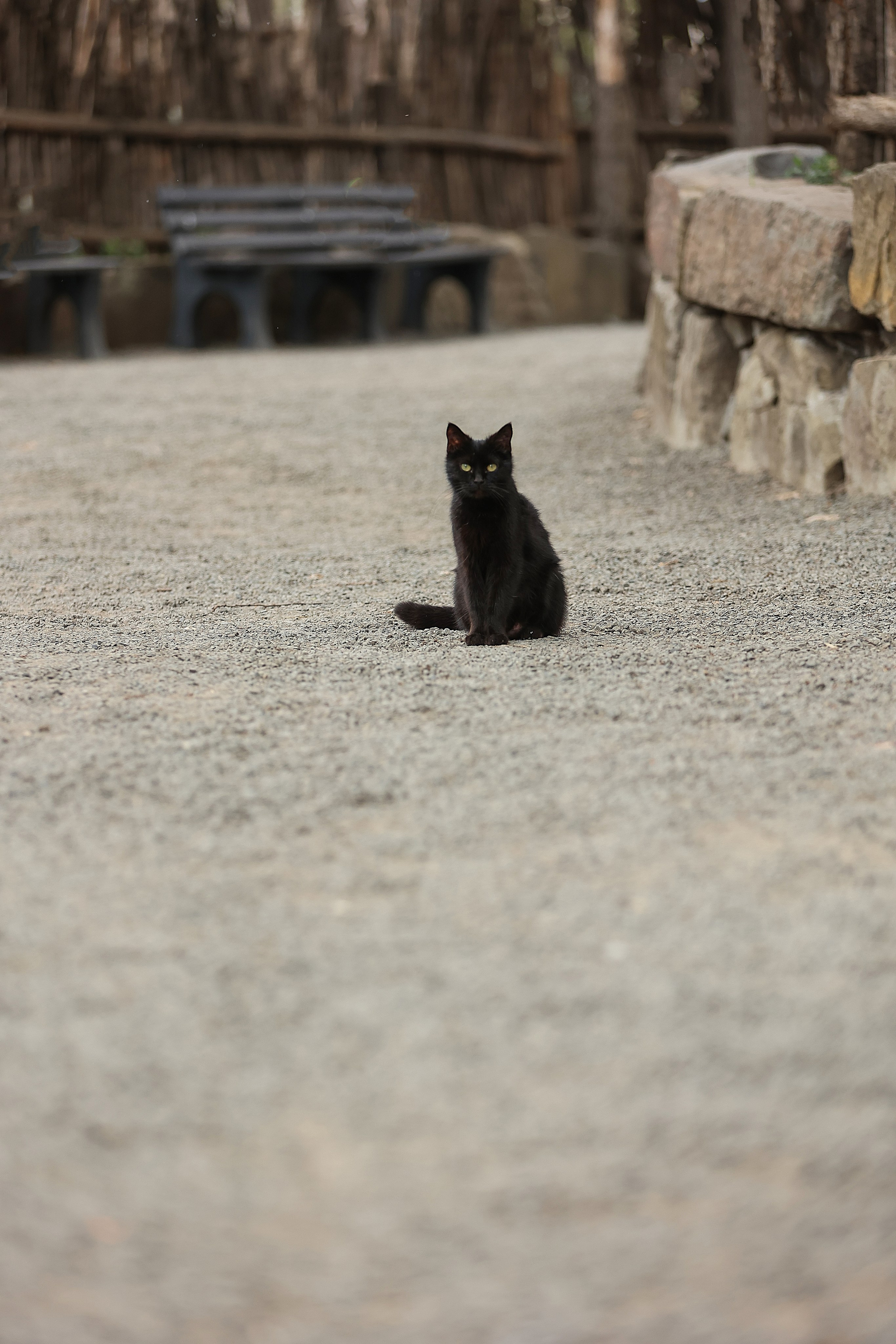 Зоопарк Малинки. Фотограф-АниМалист Анна Абрамова