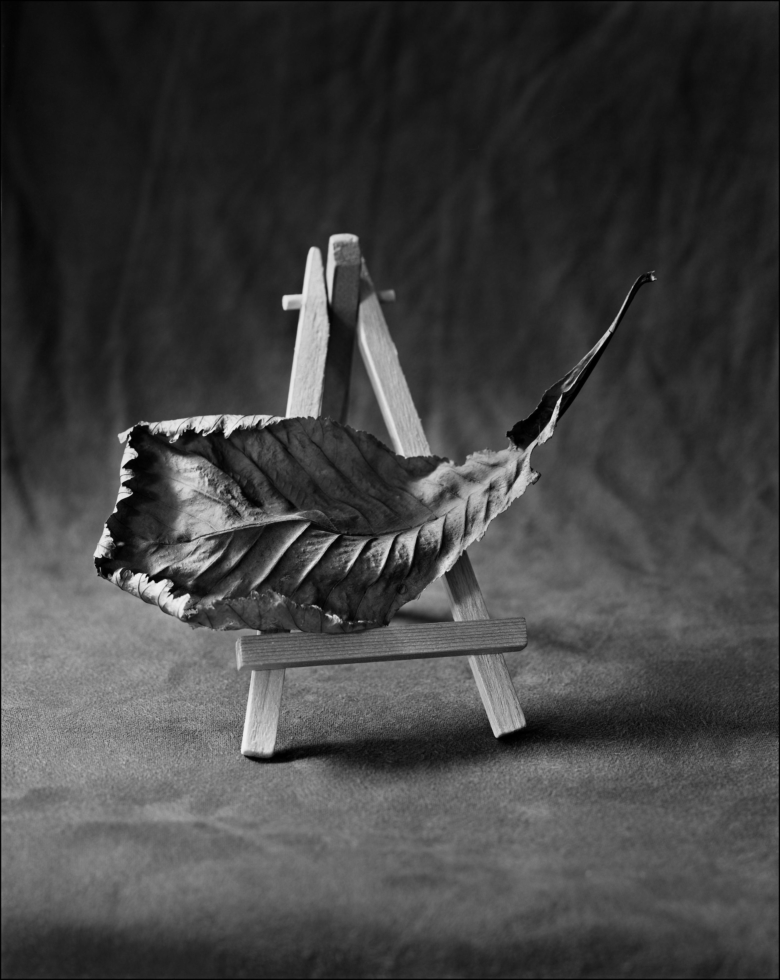 Натюрморт. Кондрюк Сергей фотограф |художник