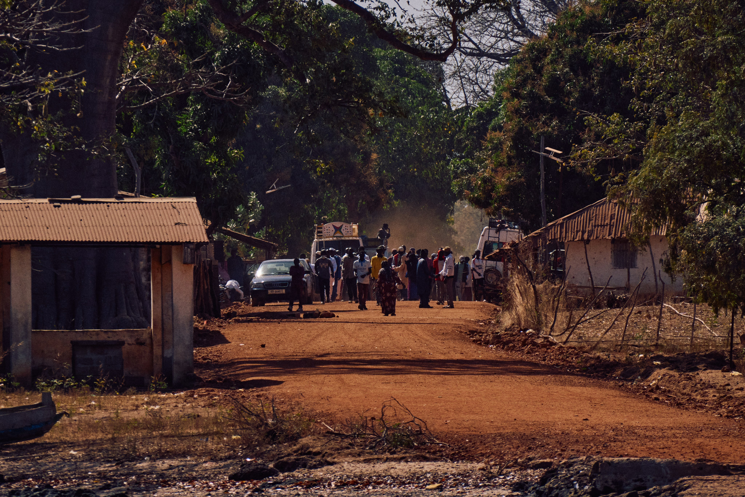Gambia River. See the moment and catche. commercial and reportage