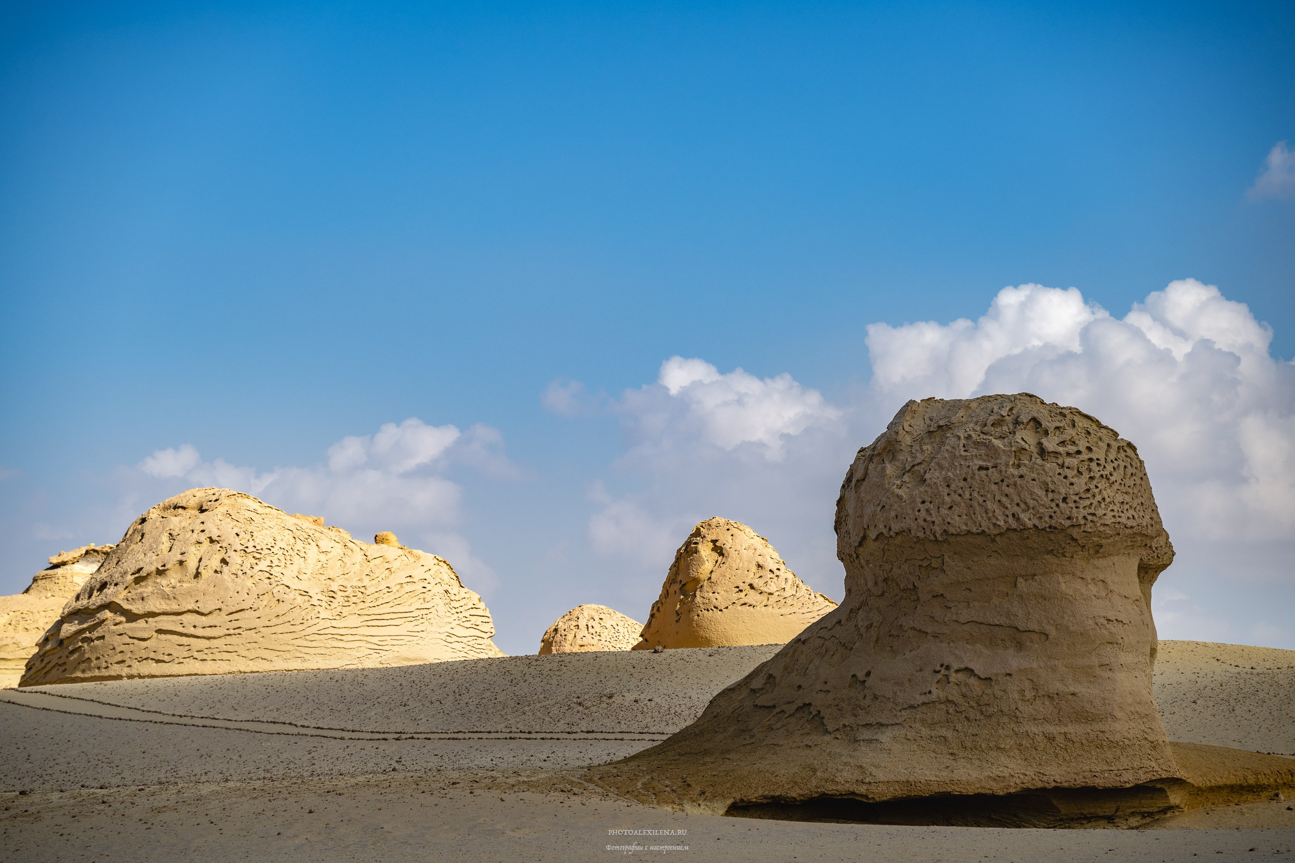 Снова в пустыню, за скелетами…. Авторские стильные фотокартины