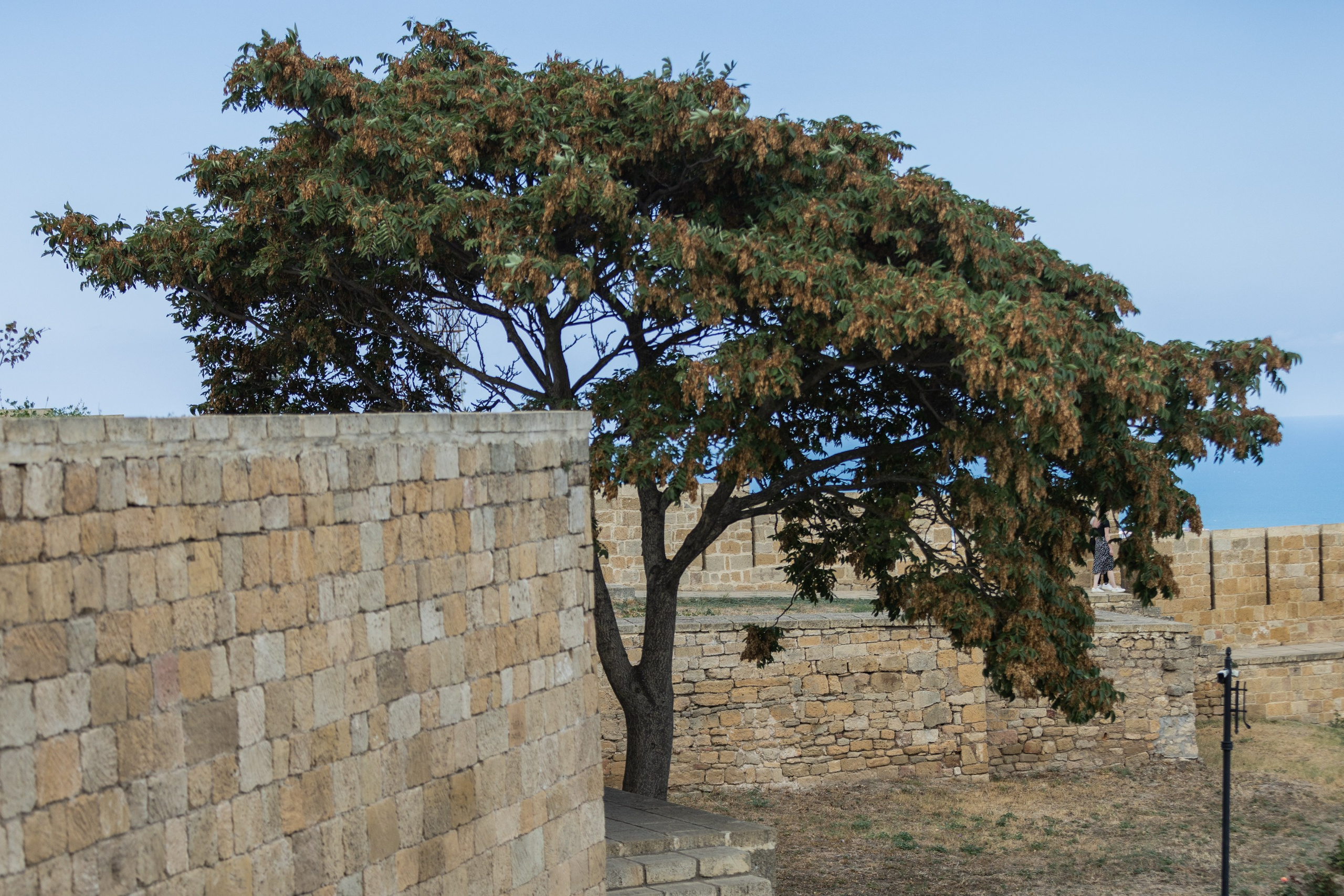 Дербент. Фотограф Владимир Охрименко