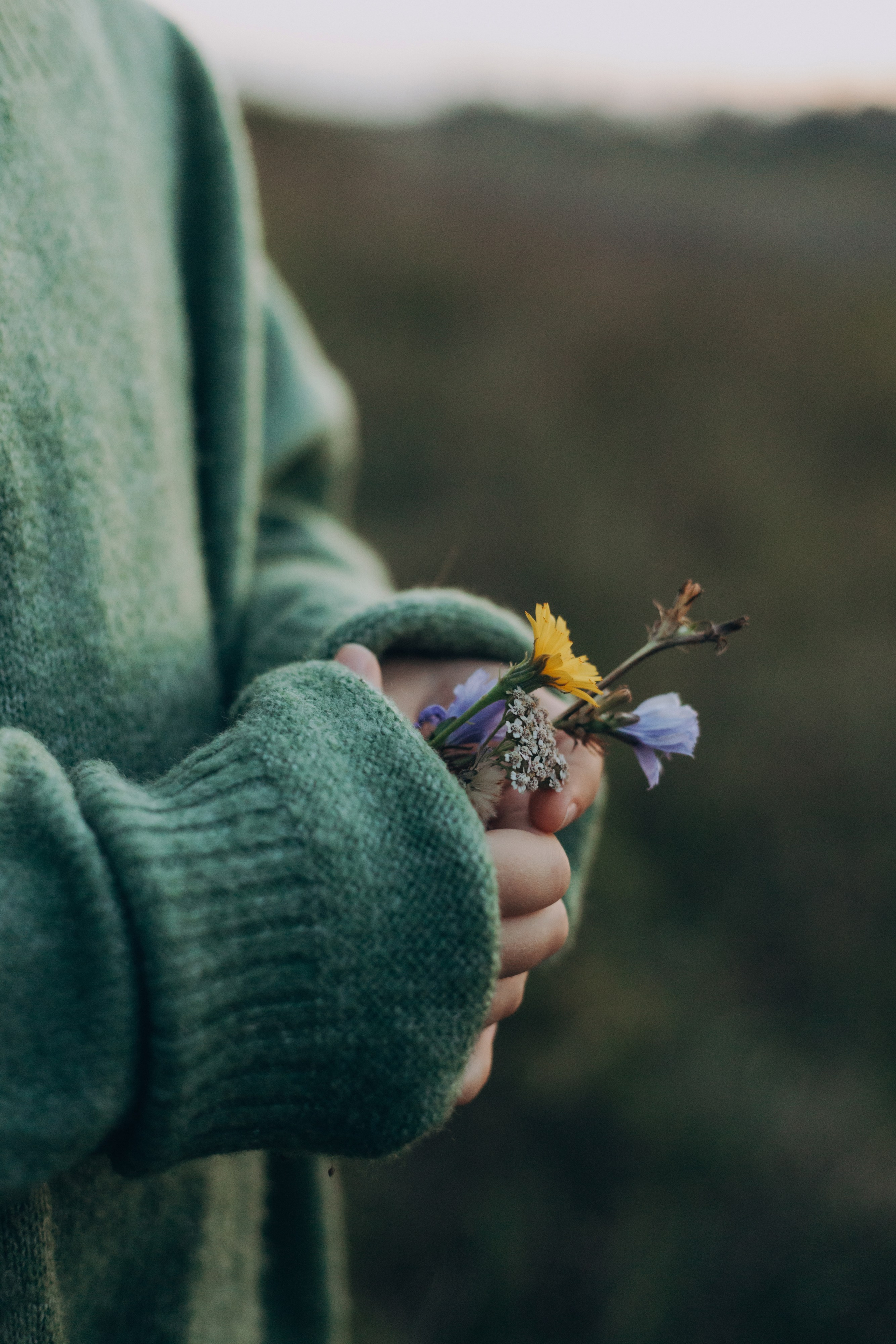 Eva. Семейный фотограф в г. Белгороде Ангелина Прокопенко