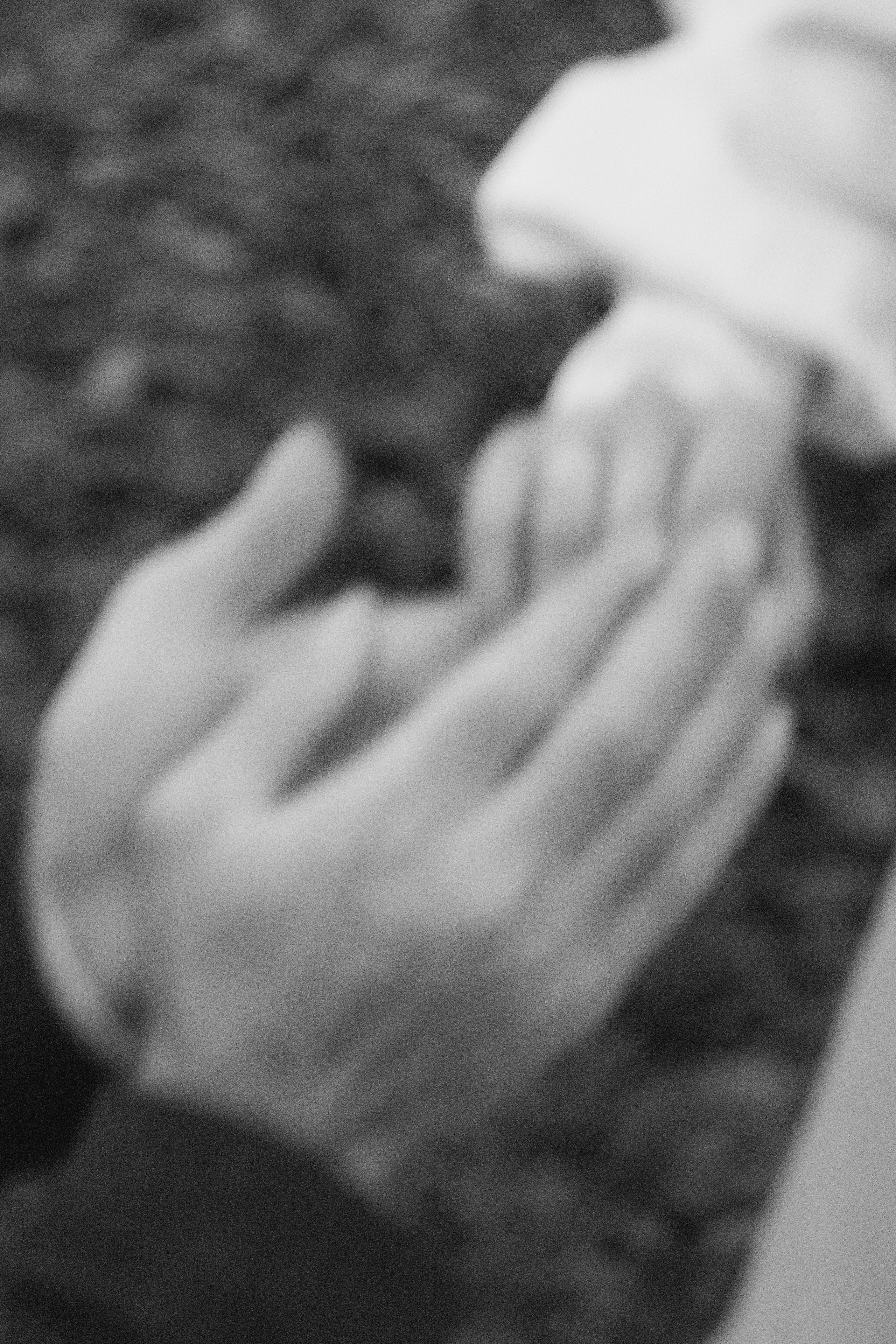 Nelly and Saric. Fotograf Dmitrii Donets