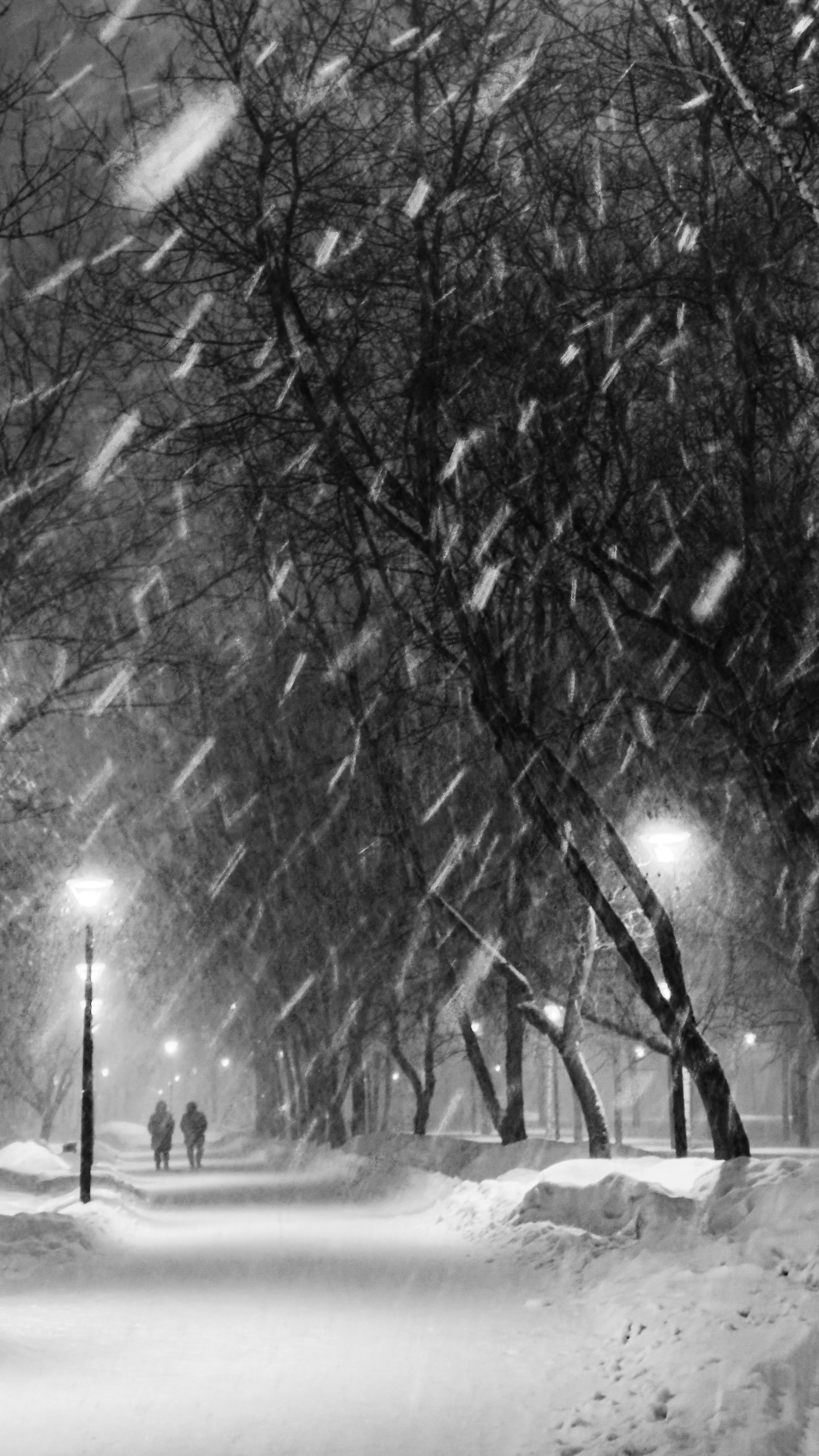 зима, метель