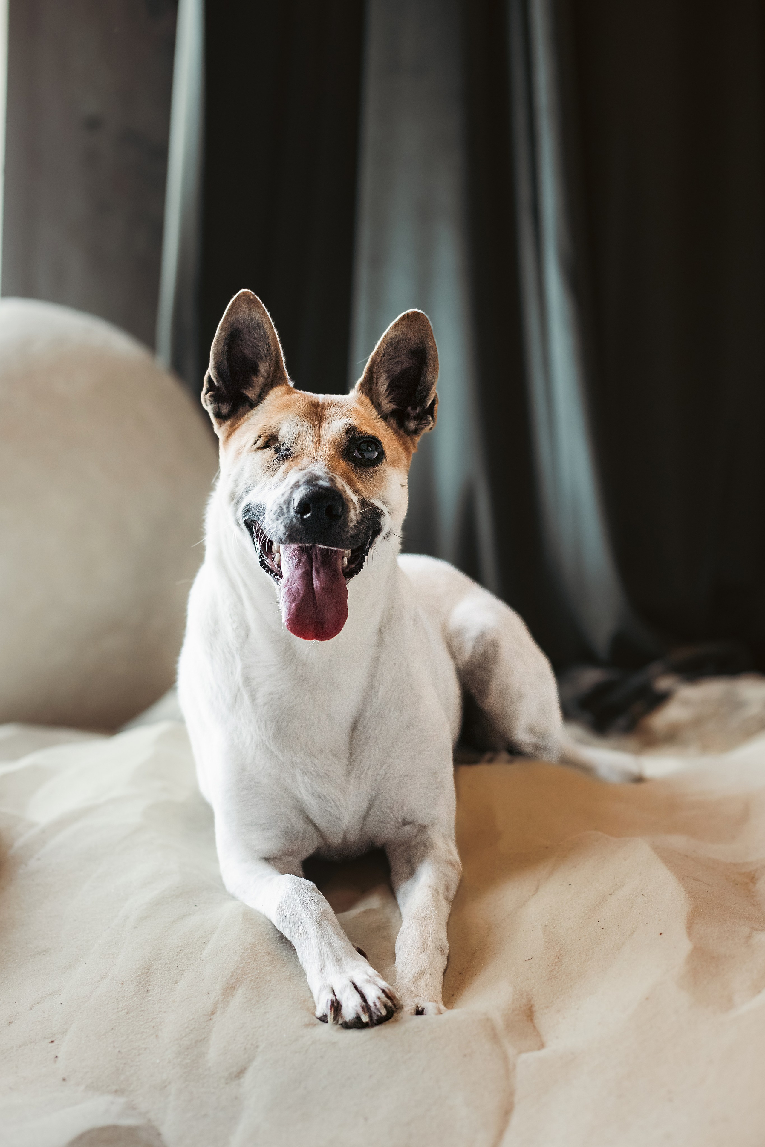 Полина и Альвильда. Фотограф-анималист Татьяна Степанова