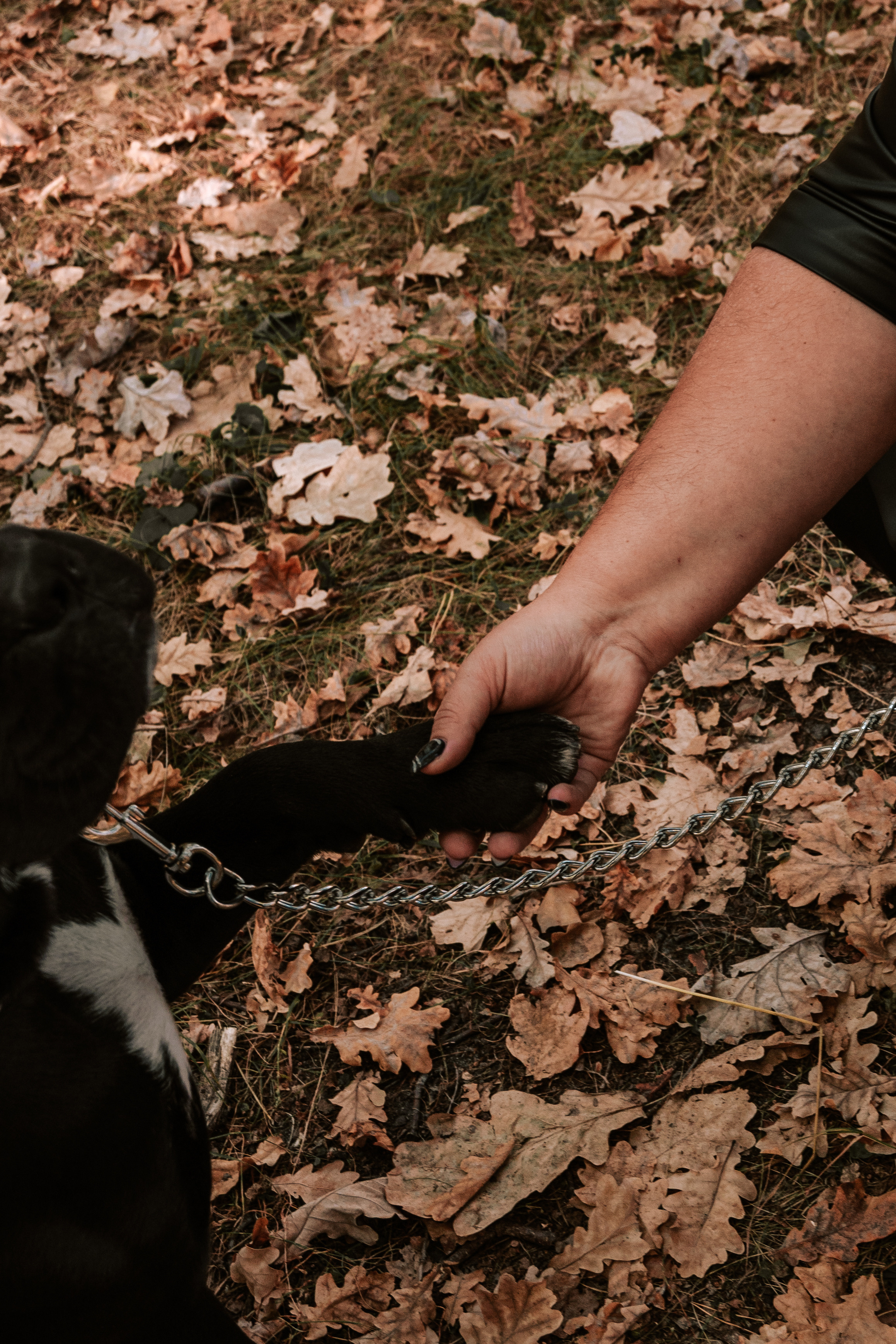 Наталья и Хонда. Семейный и детский фотограф Анастасия Монченко