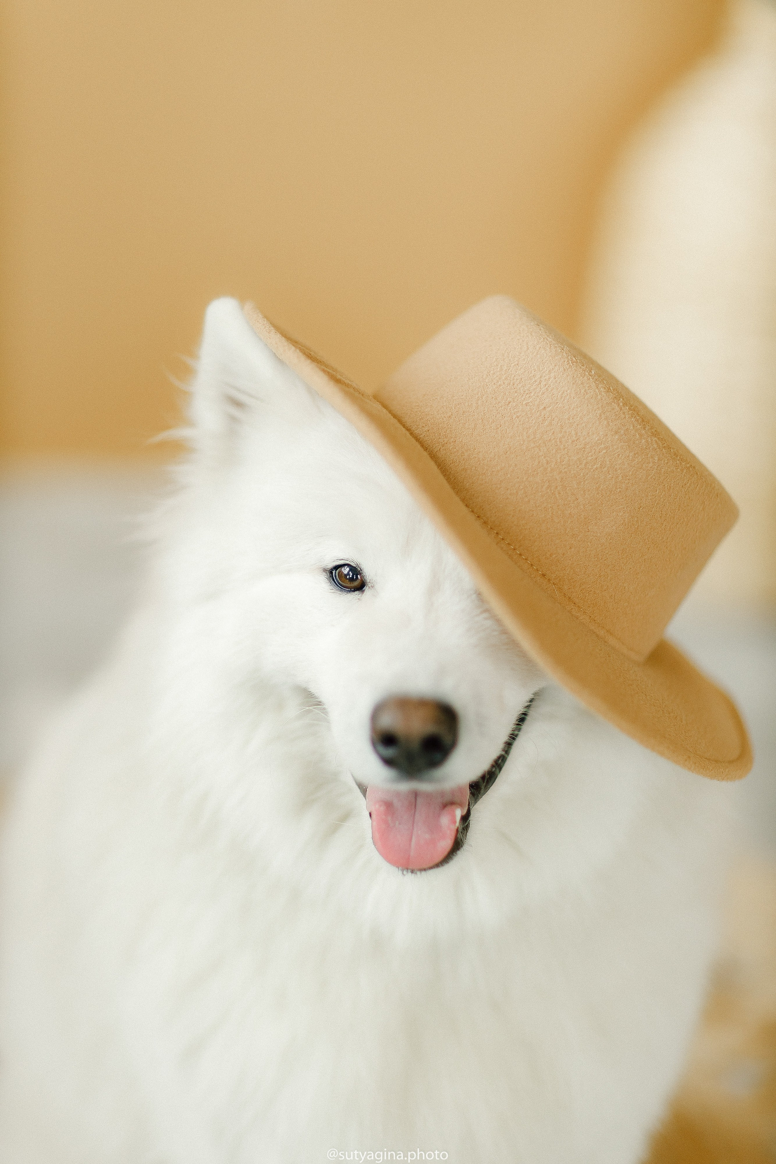 Самоед Мартин. Свадебный и женский фотограф