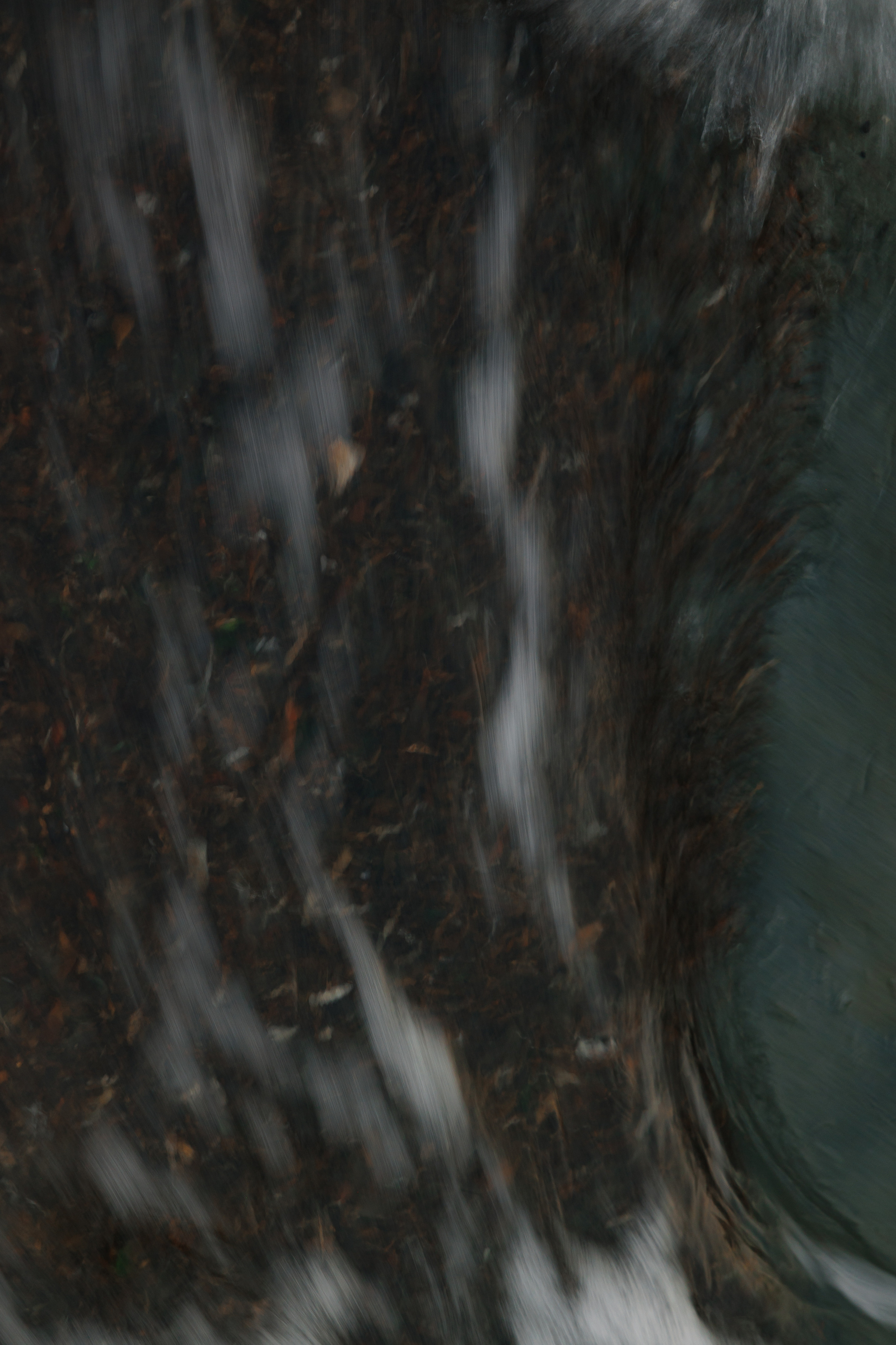 СВЕТА. Фотограф во Владивостоке Антон Блохин