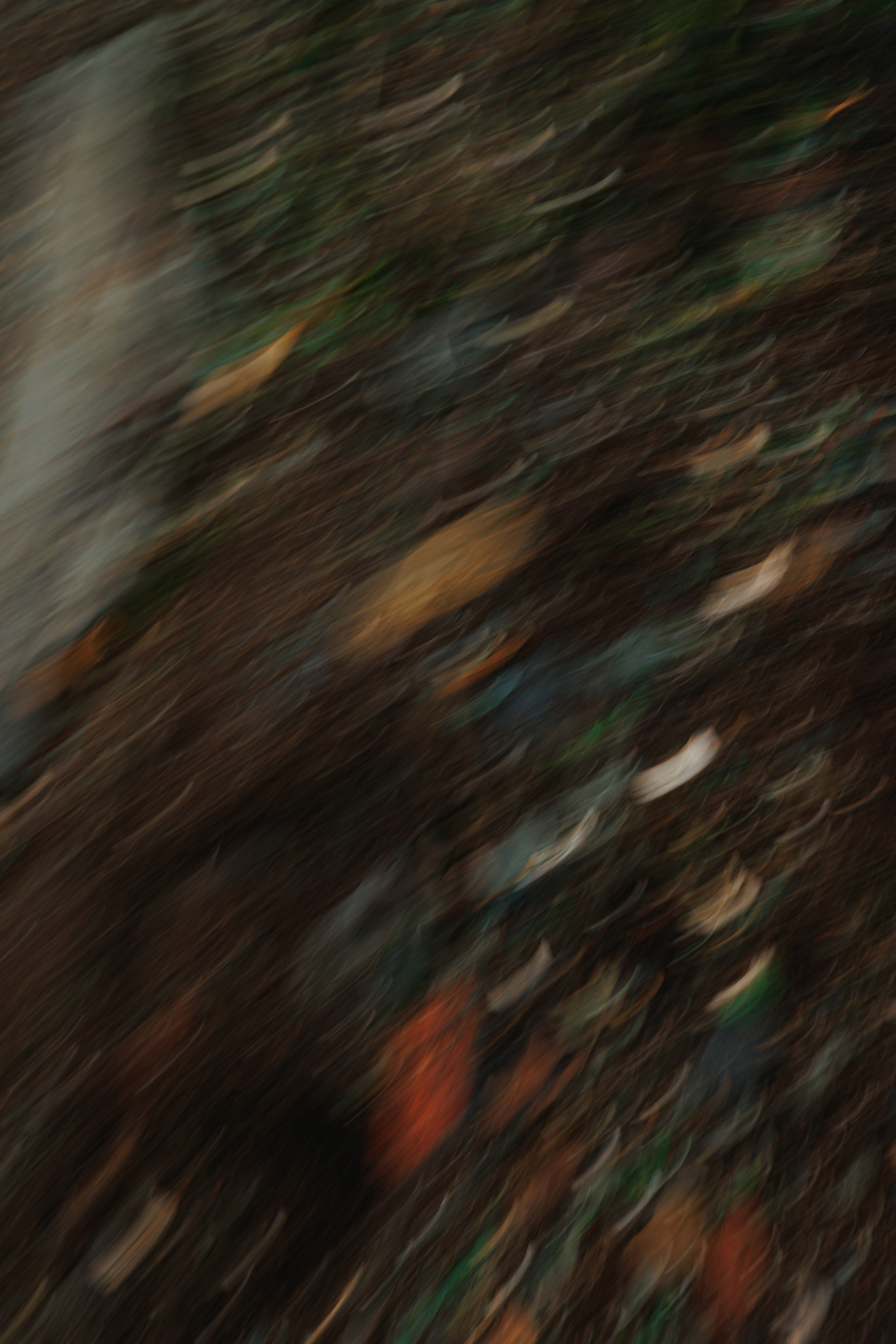 СВЕТА. Фотограф во Владивостоке Антон Блохин