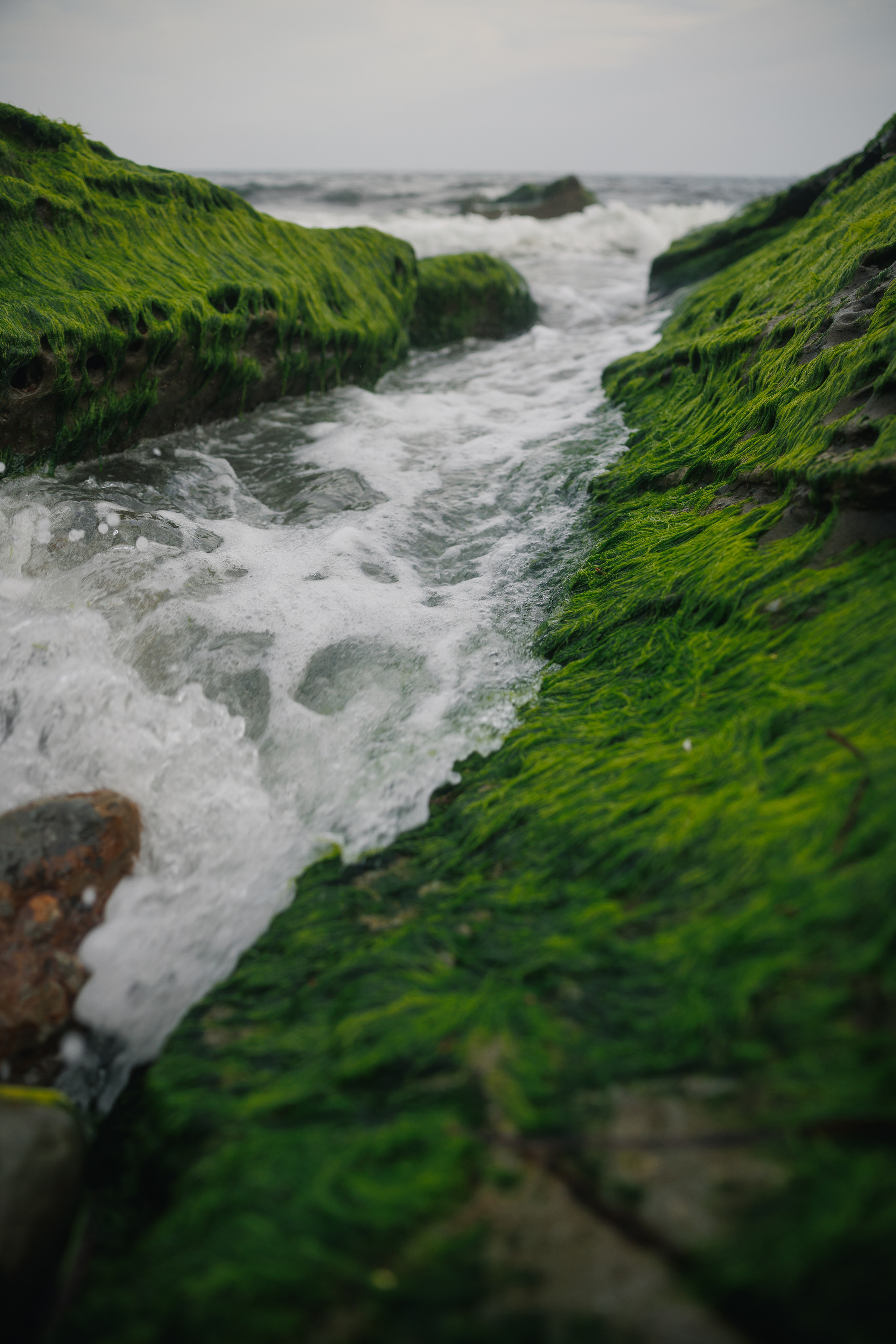 СВЕТА. Фотограф во Владивостоке Антон Блохин