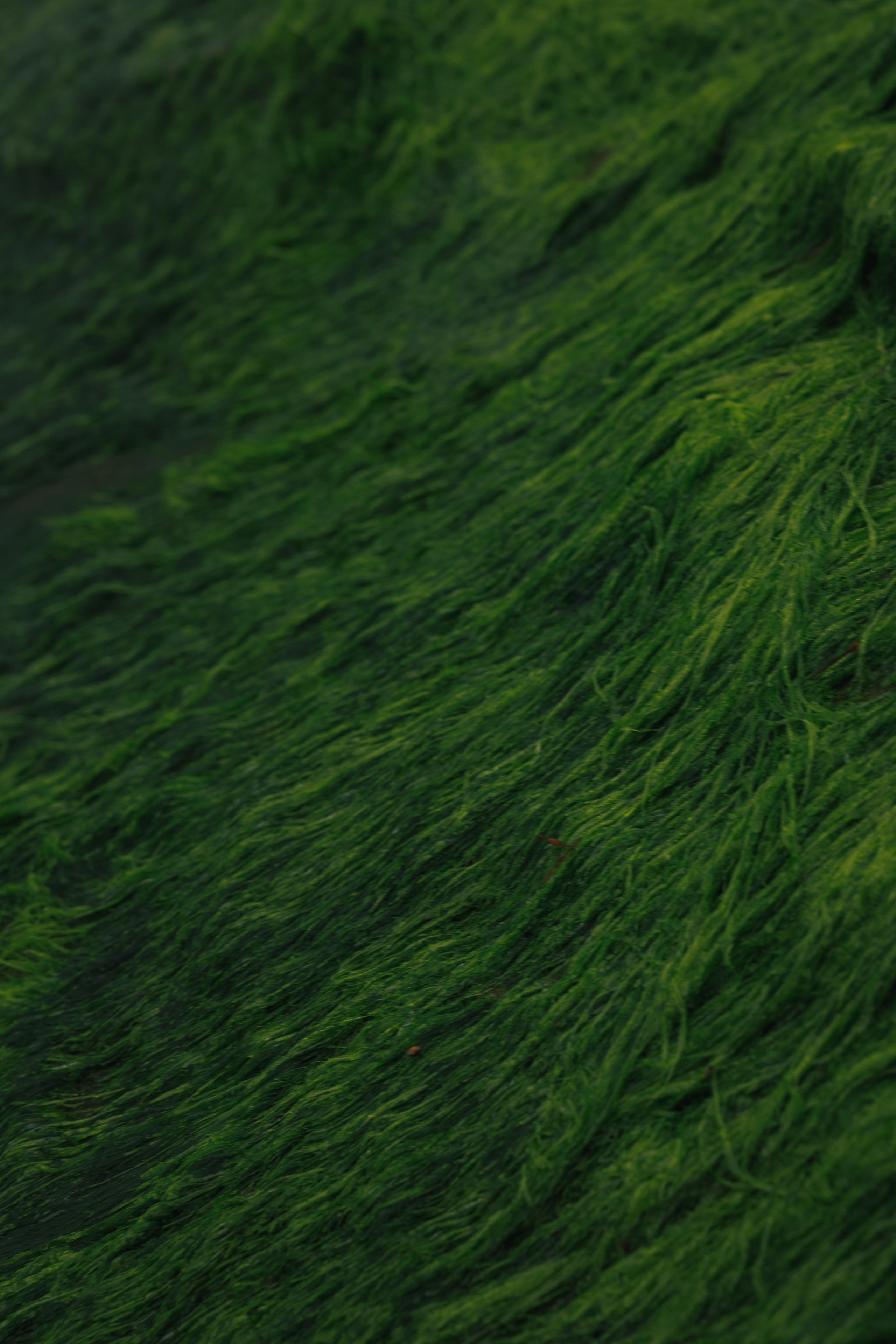 СВЕТА. Фотограф во Владивостоке Антон Блохин