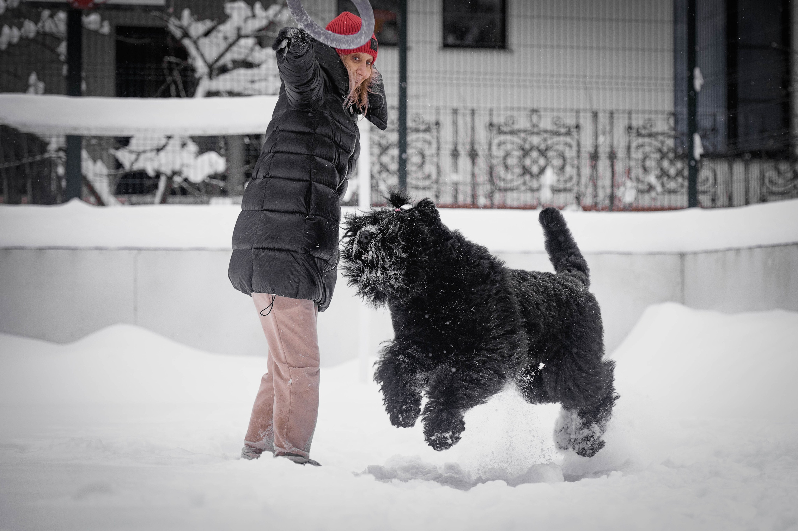 Клео. Фотограф-анималист