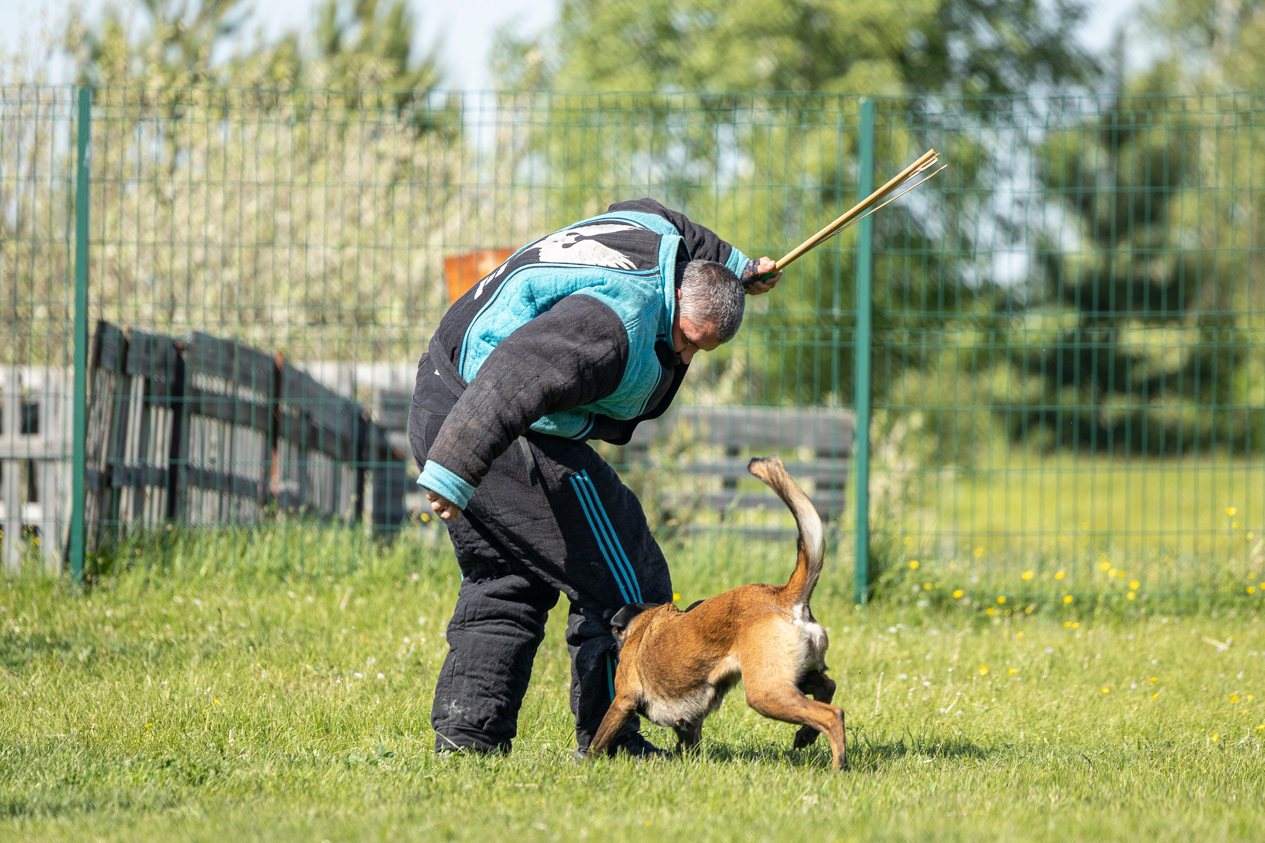 Испытания по мондьорингу в Нижнем Новгороде. Фотограф-анималист Анна Маринич