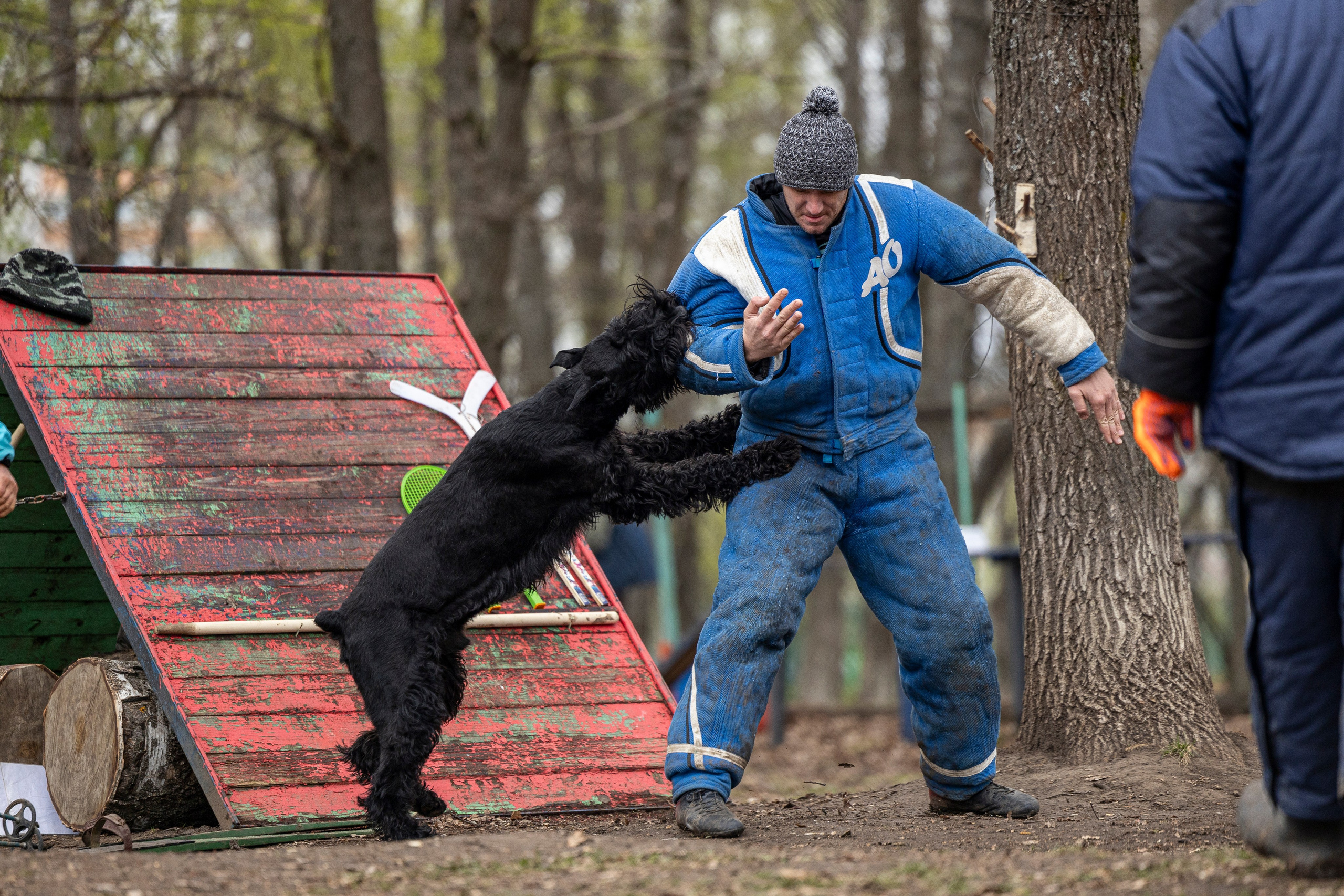 Квалификационные состязания по мондьорингу г. Вологда 11.05.24. Фотограф-анималист Анна Маринич