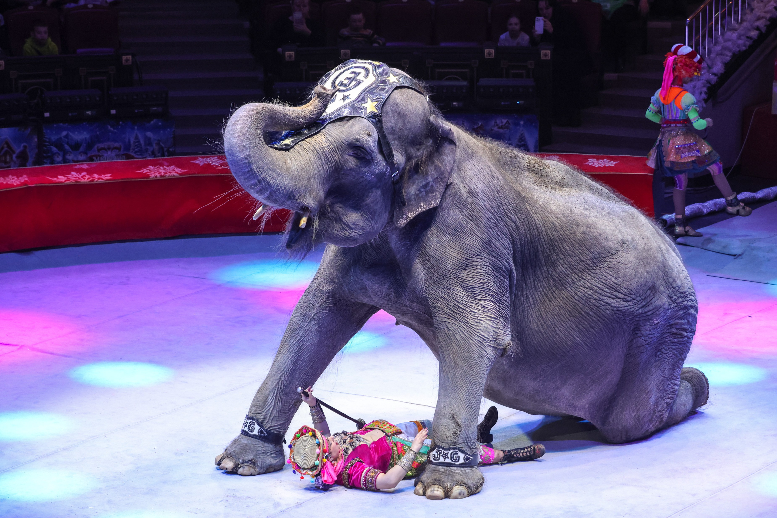 Цирк. Фотограф Дмитрий Алексеев